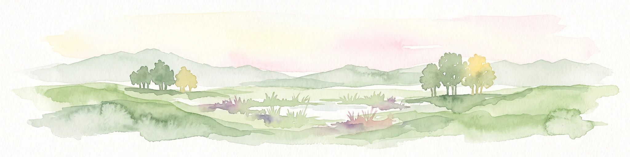 Acuarela de un paisaje de humedal tranquilo con campos de hierba verde, pequeños grupos de árboles y un estanque central, sobre un fondo suave y pálido.
