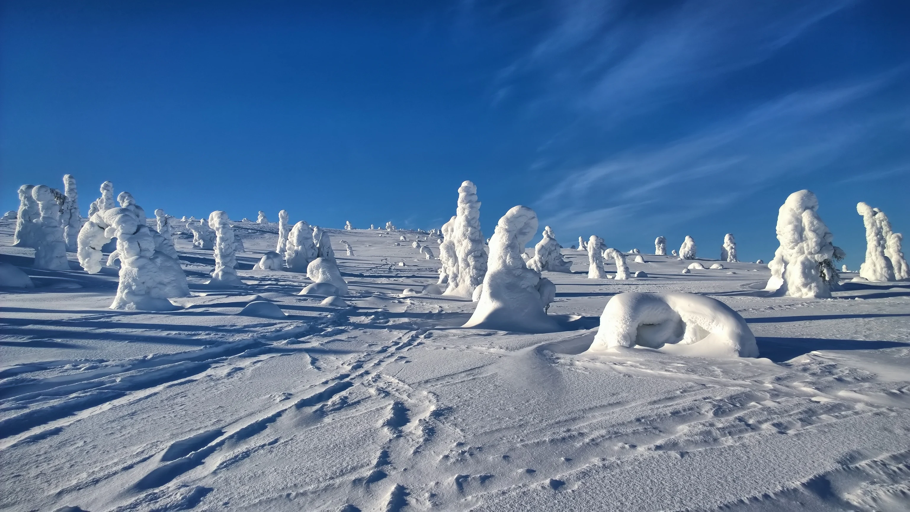 Snow-covered terrain with frost-laden trees under a clear blue sky