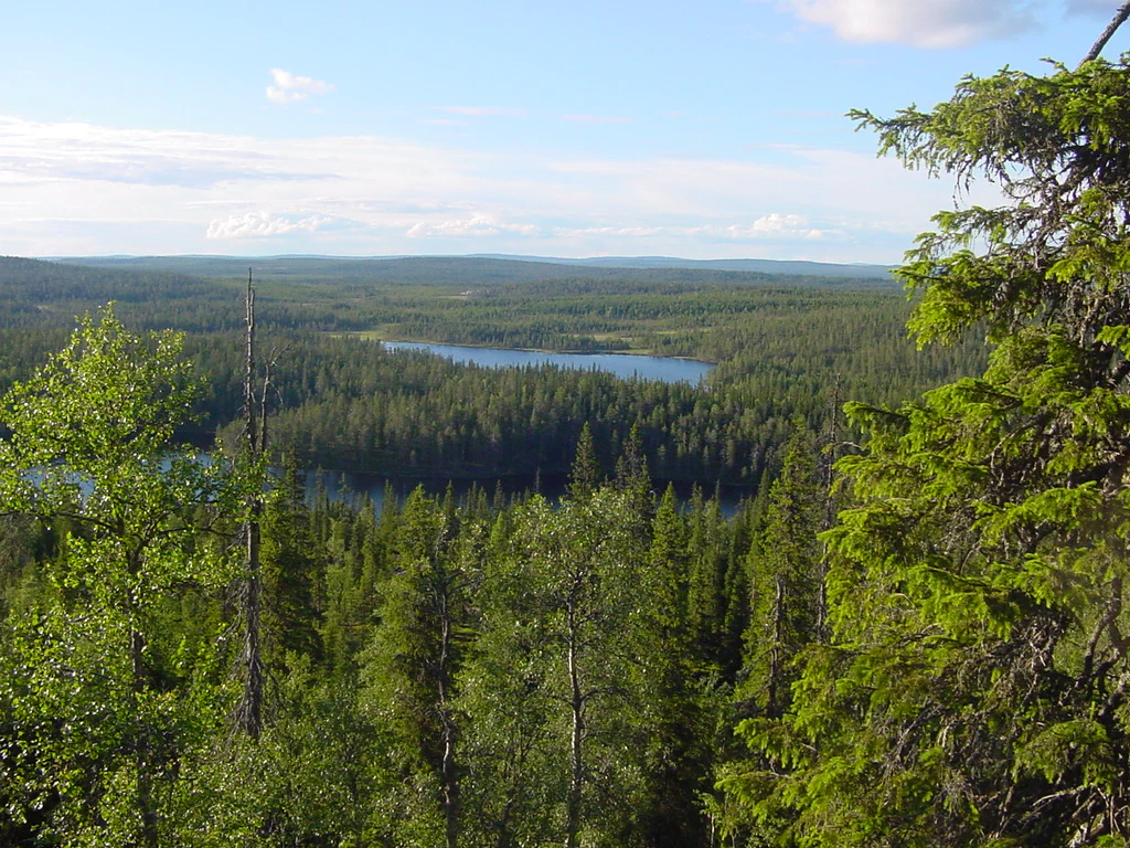 Panoramic view of Riisitunturi National Park showing forested landscape with lake and distant mountains under partly cloudy sky