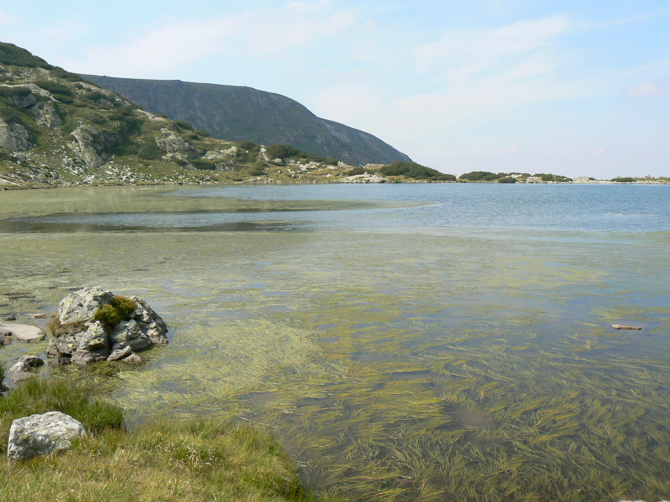 Clear lake with visible aquatic vegetation, rocky shore, grassy bank, and mountain backdrop