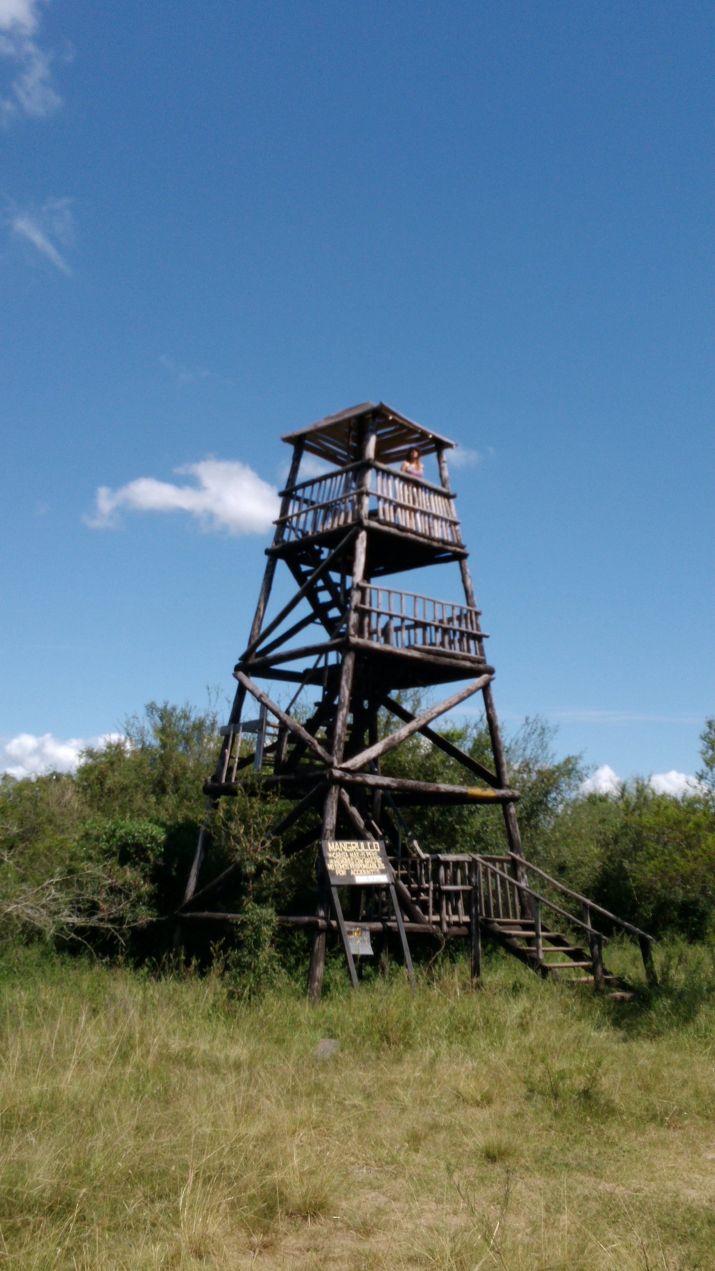 A tall, multi-level wooden observation tower with a staircase stands in an open grassy area with trees and a clear blue sky in the background.
