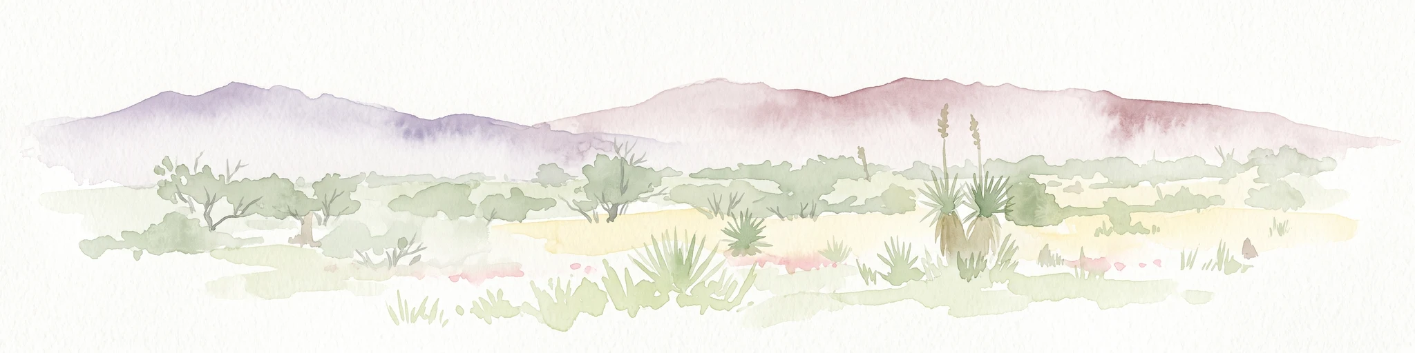 A horizontal watercolor painting depicting a desert landscape with mountains in the distance, soft green and yellow foreground vegetation, and several yucca plants.