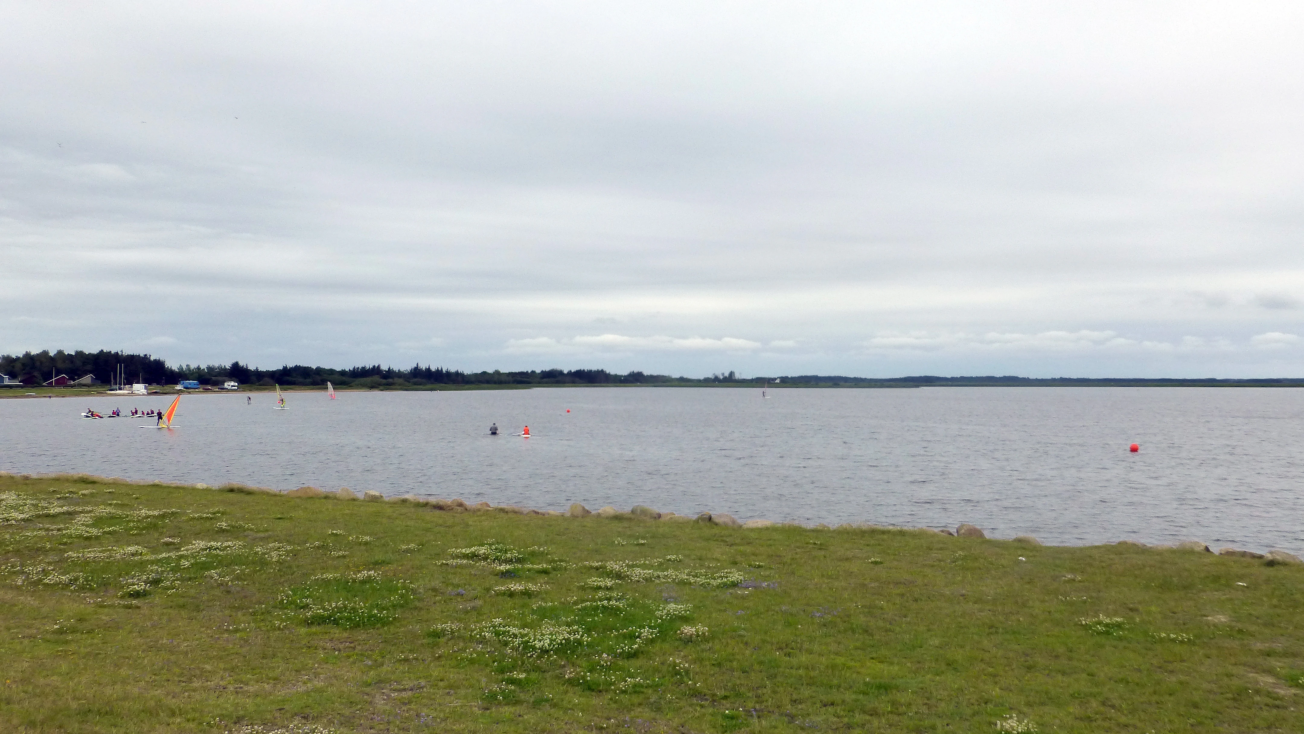 A wide view across the calm, grey waters of Ringkøbing Fjord with grassy marshland in the foreground and a distant tree-lined shoreline under a cloudy sky.