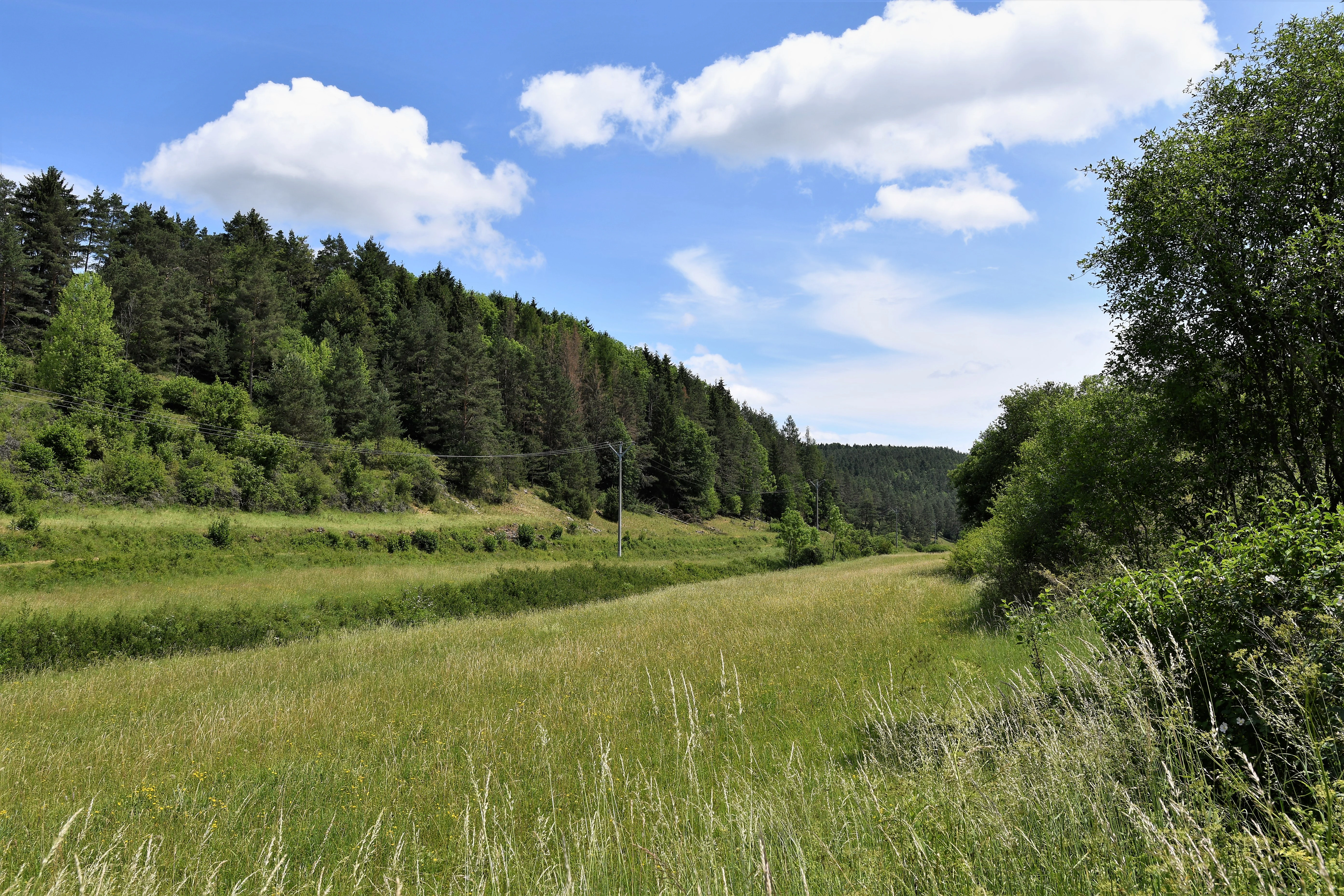 A wide view of a dry valley in Bavaria, with a grassy meadow in the foreground and a forested hillside rising on the left under a blue sky with white clouds.