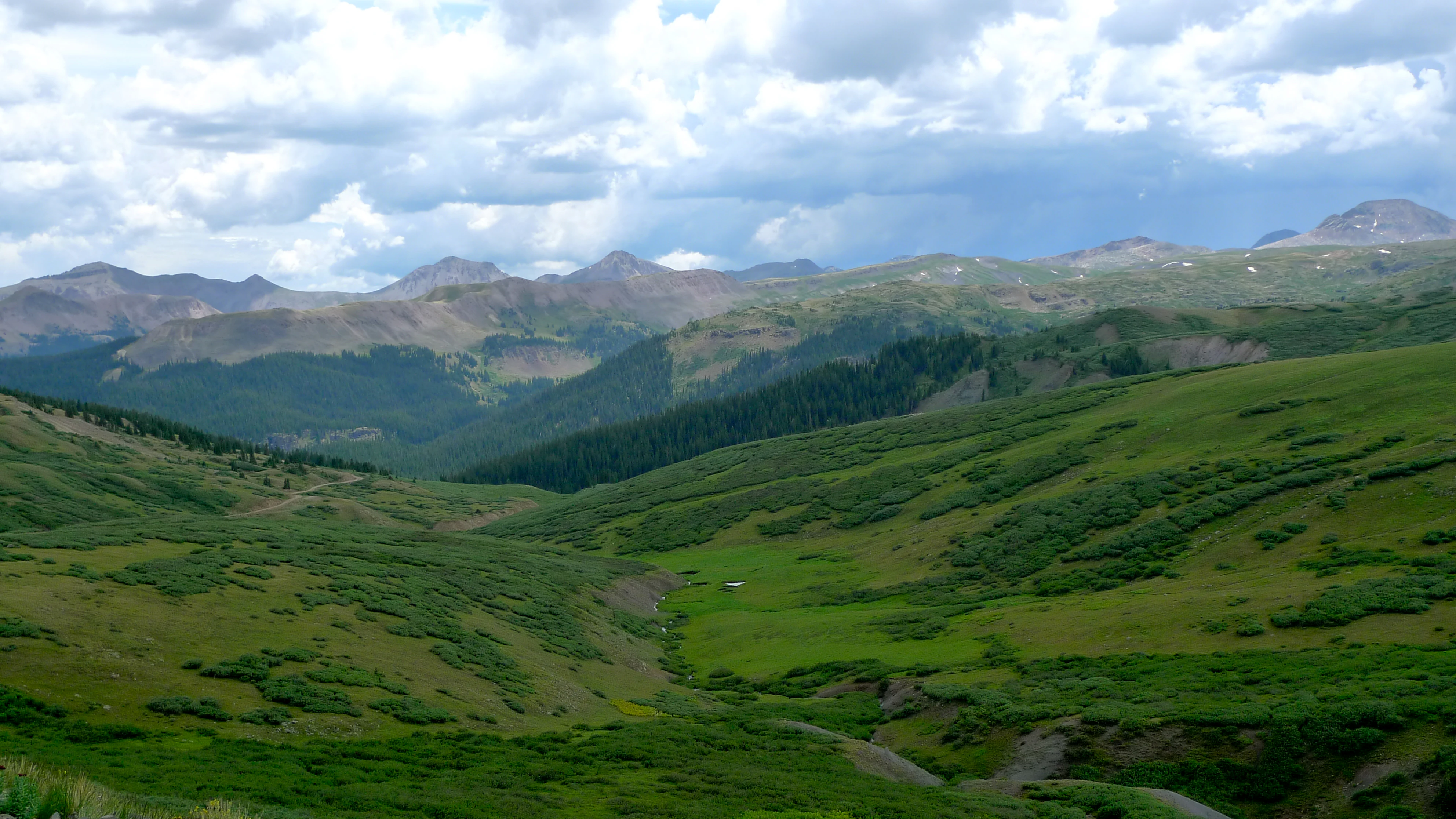 A wide, mountainous landscape view featuring rolling, grassy green alpine slopes in the foreground transitioning into dense evergreen forests and rugged, distant mountain peaks under a cloudy sky.