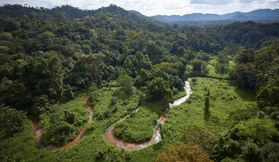 An aerial shot of a winding, muddy brown river flowing through a lush, green tropical rainforest valley with hilly, forest-covered terrain in the background.