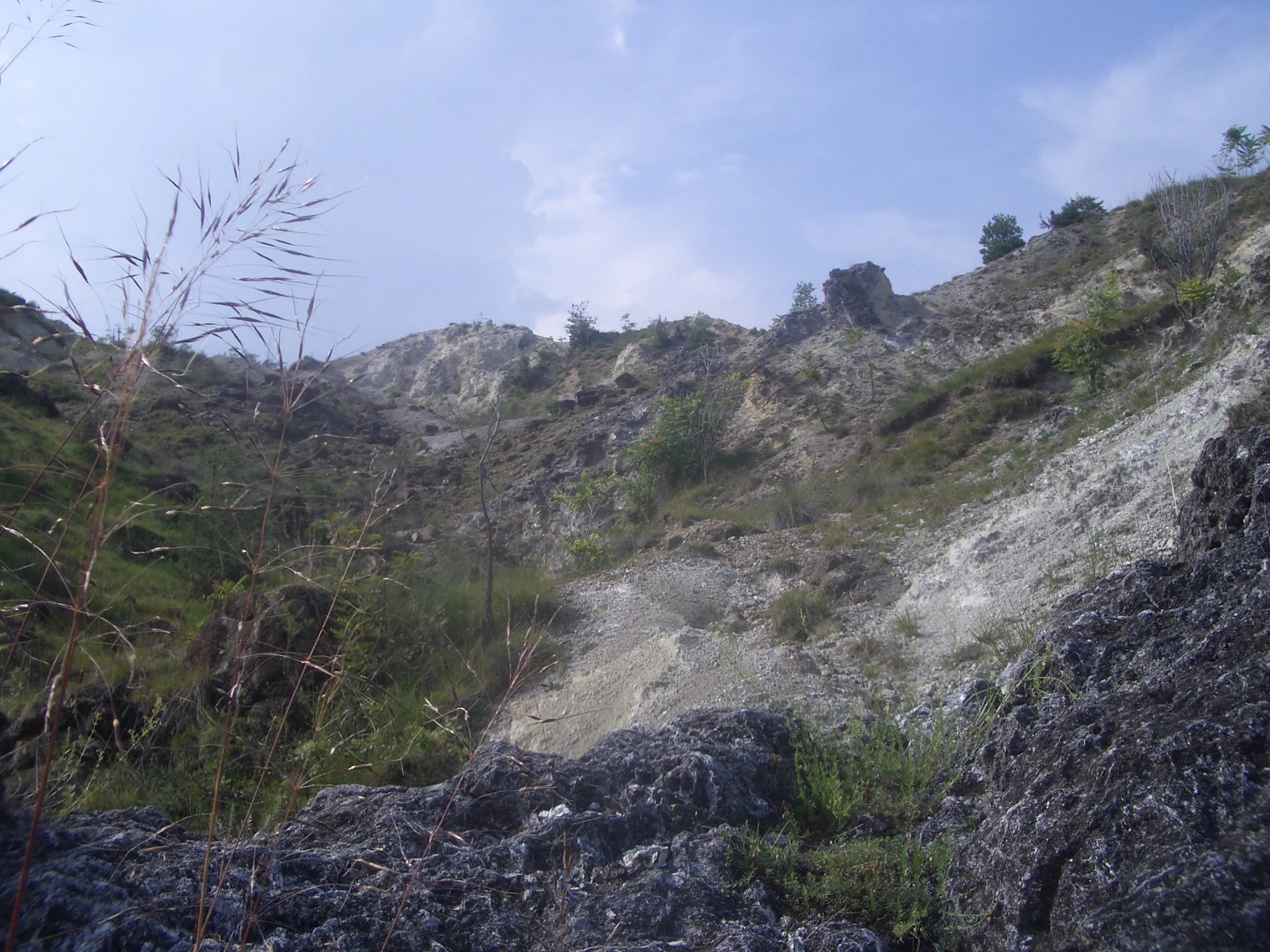 A low-angle view of rugged, pale rocky hills at Monti Pelati, with sparse green shrubs and grasses on the slopes under a hazy sky.