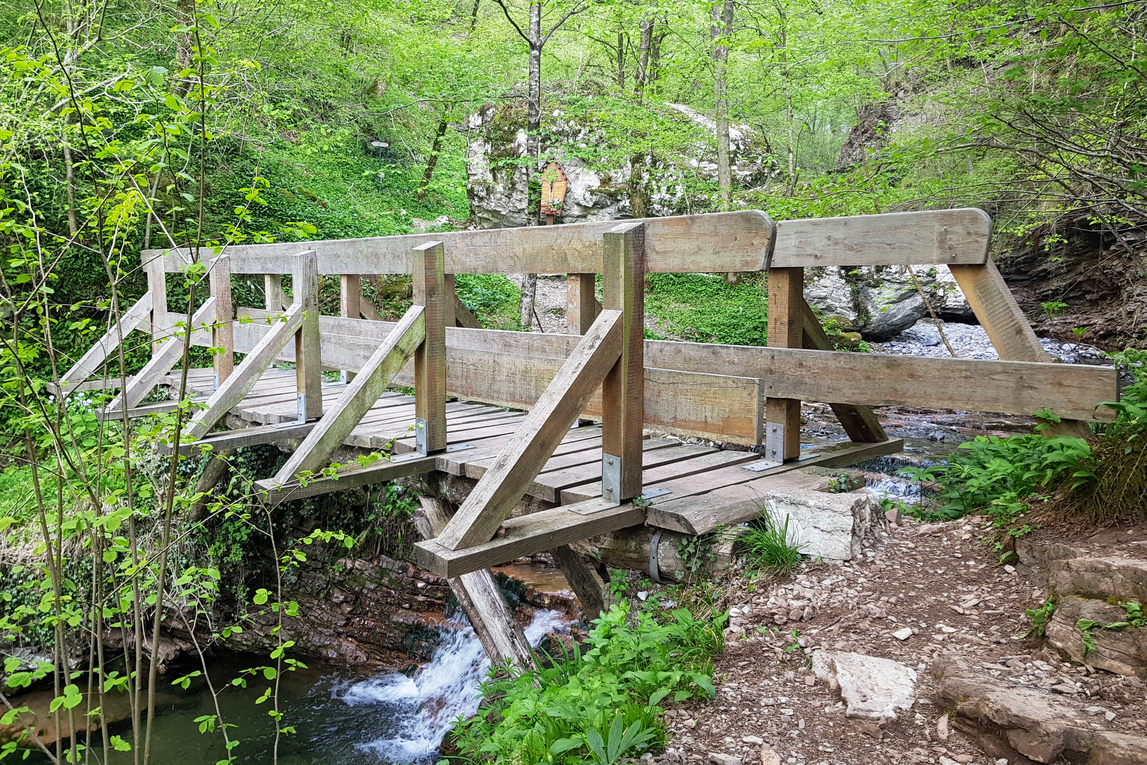 Un puente peatonal de madera cruza un pequeño arroyo que fluye en un bosque denso y verde.