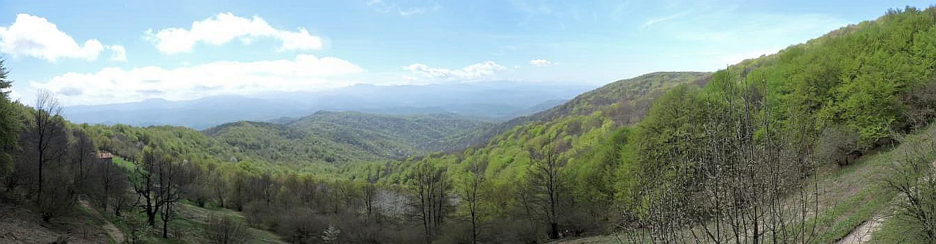 Wide panoramic view of green forested rolling hills and mountain ridges under a blue sky.