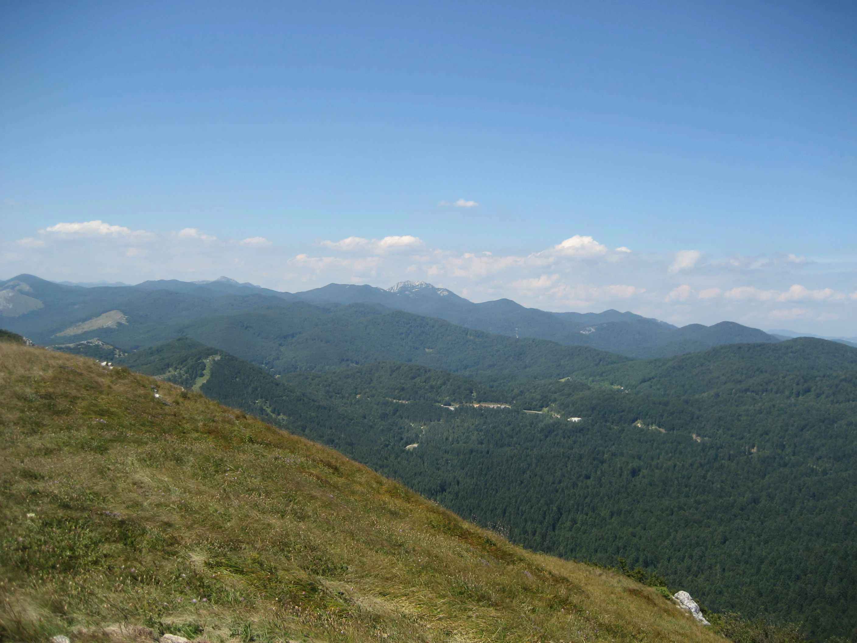 Grassy hillside leading to dense forested mountains under clear blue sky