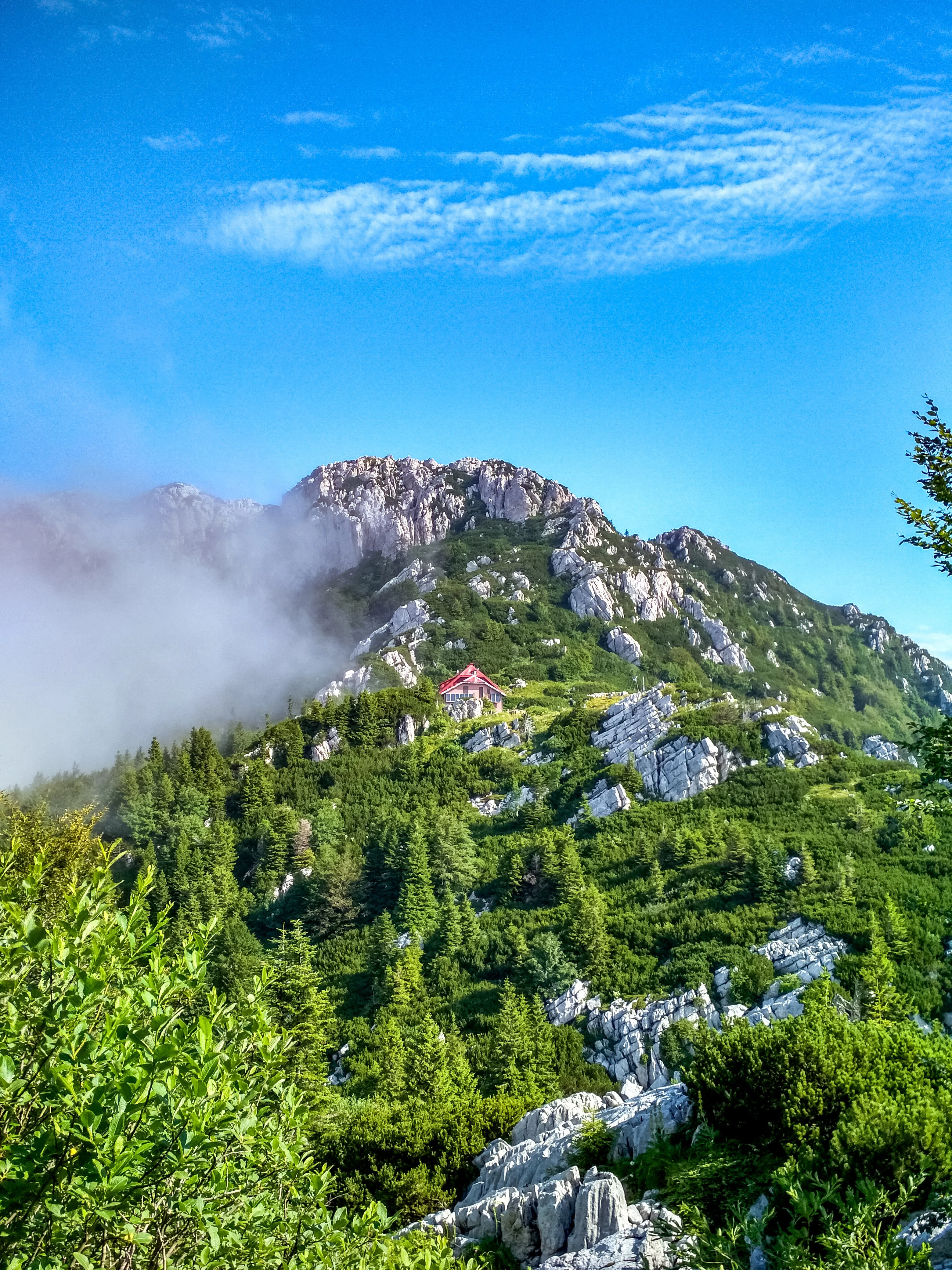 Mountain landscape with green forest, rocky peaks, mist, and a red-roofed lodge under clear blue sky