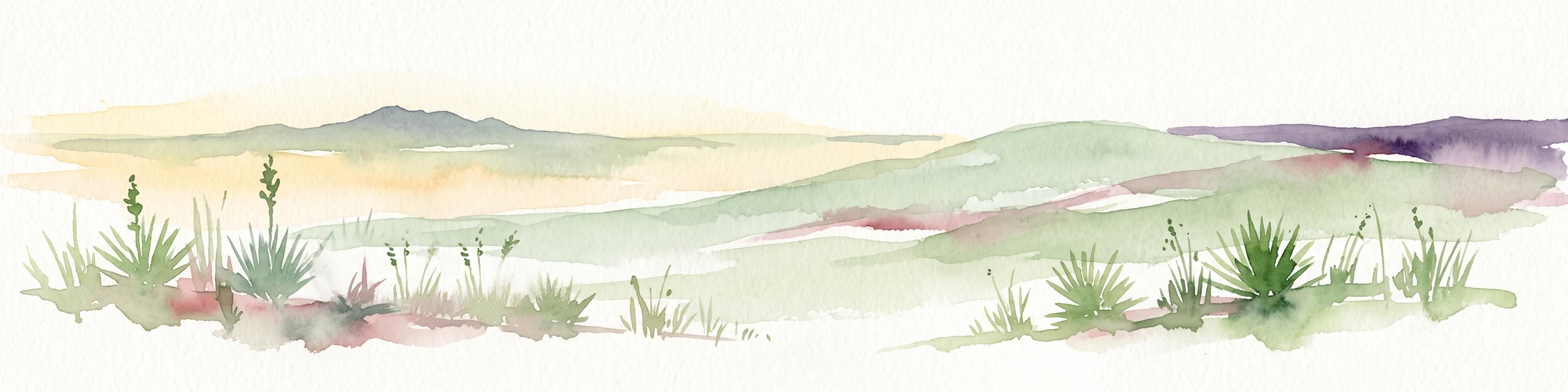 A horizontal watercolor painting showing a soft, stylized view of open, rolling grassland under a hazy sky, with yucca-like plants in the foreground.