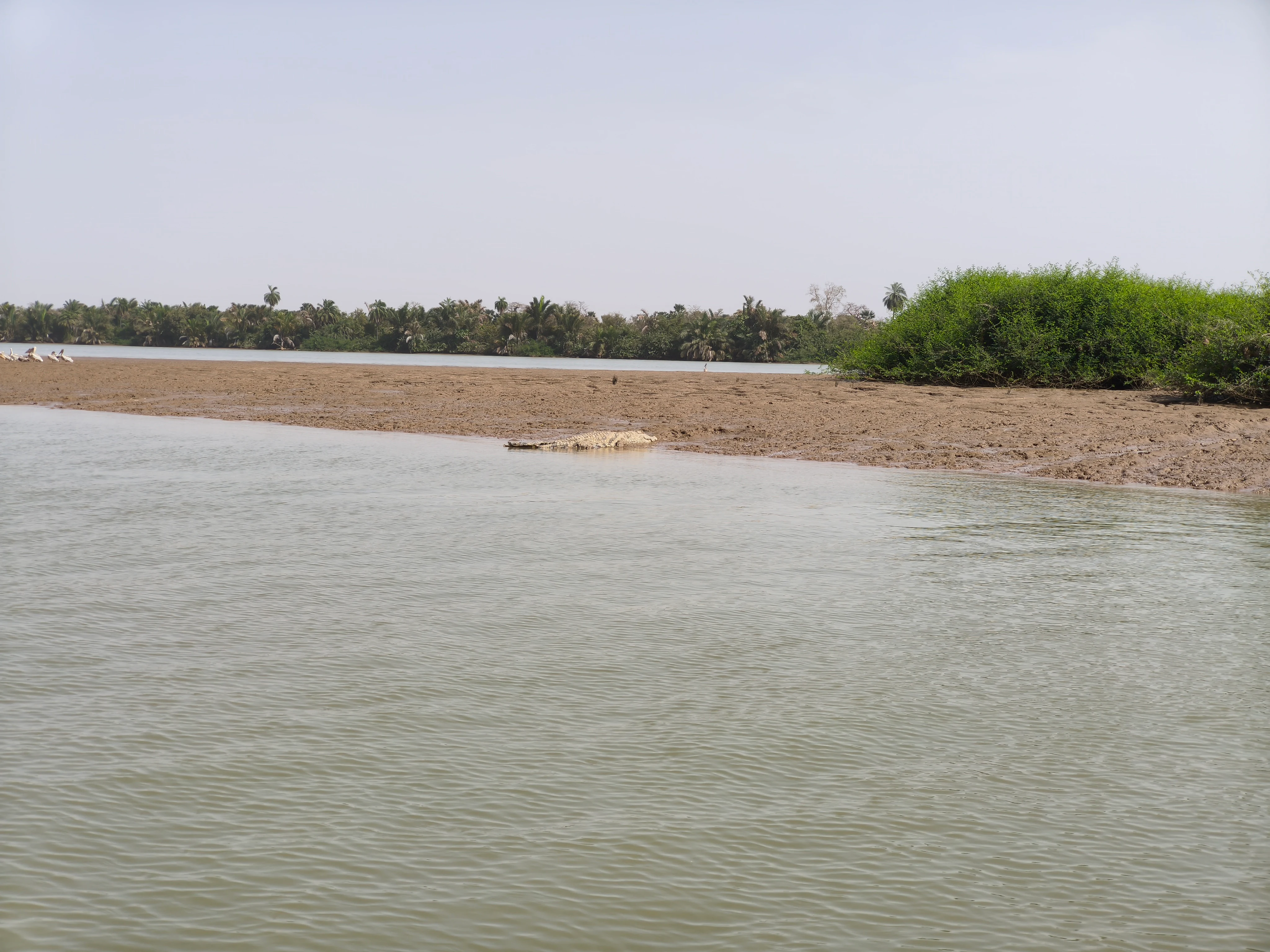 Calm river with sandy shoreline, vegetation on the right side, and trees in the background under clear sky