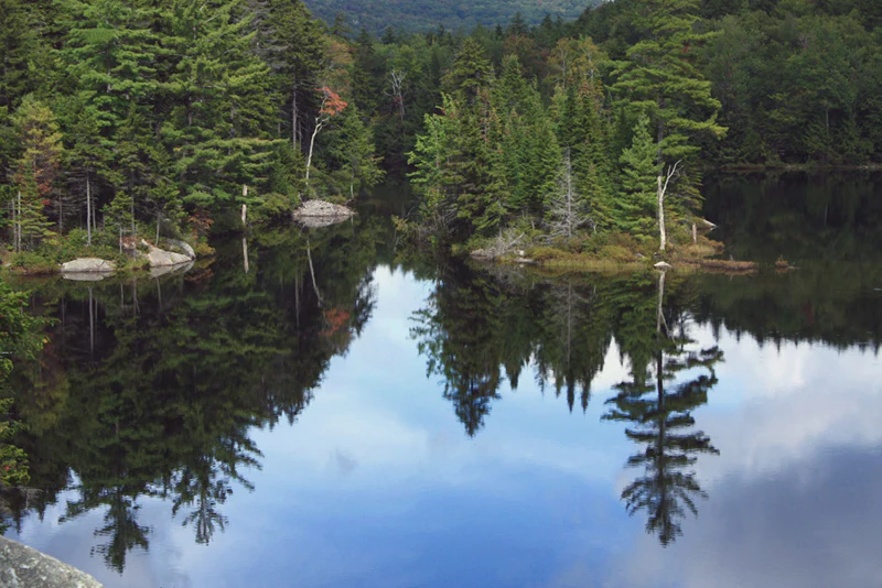 A calm, reflective pond surrounded by a dense evergreen forest, with the trees clearly mirrored in the still water.