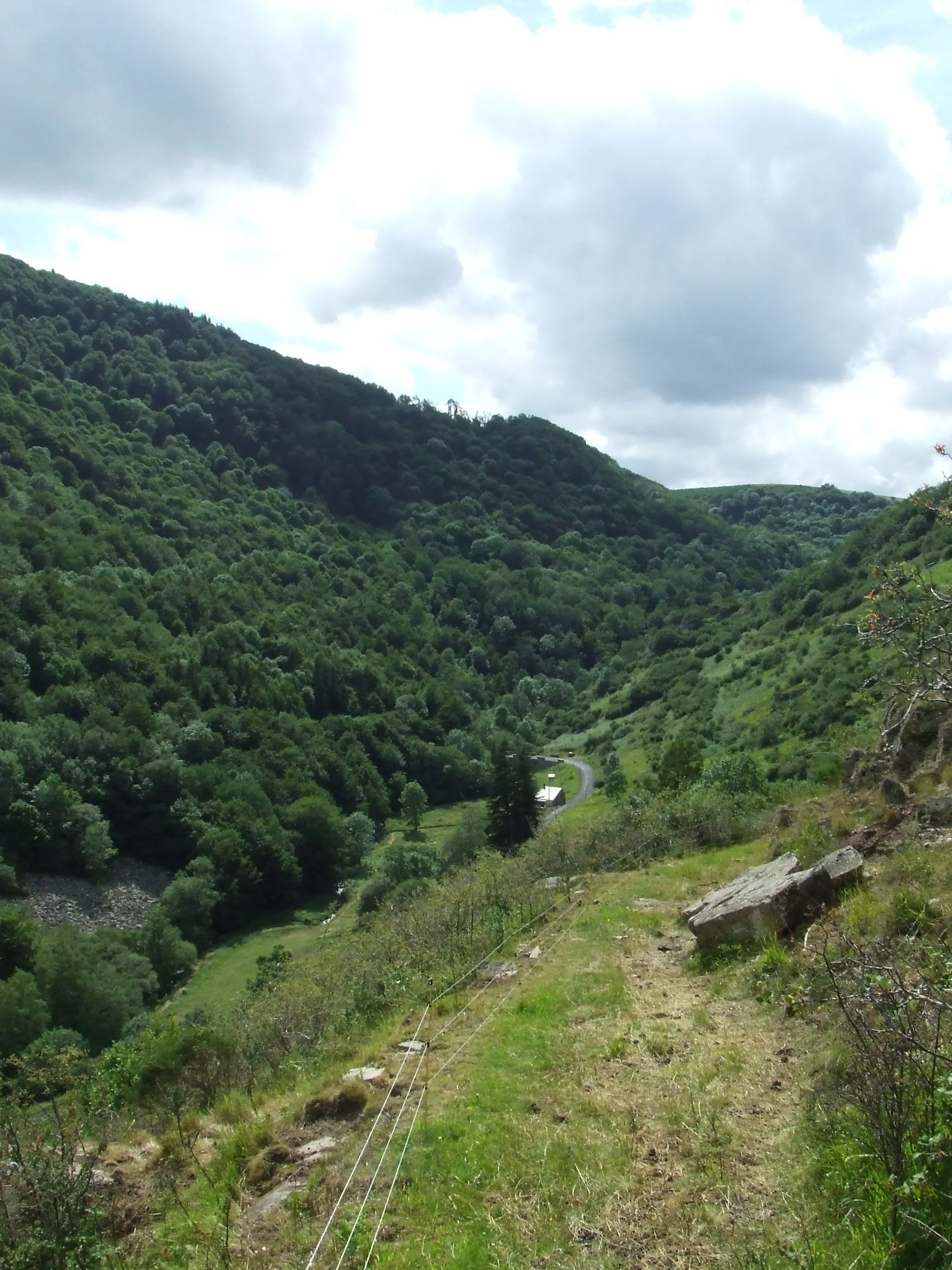 A downward perspective of a lush green valley filled with dense forest, seen from a grassy hillside with a visible wire fence and small rocky outcrops in the foreground.