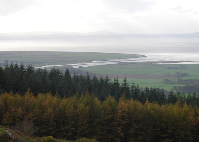 An elevated landscape view looking across a coniferous forest in the foreground toward a wide estuary and coastal plain under a misty sky.