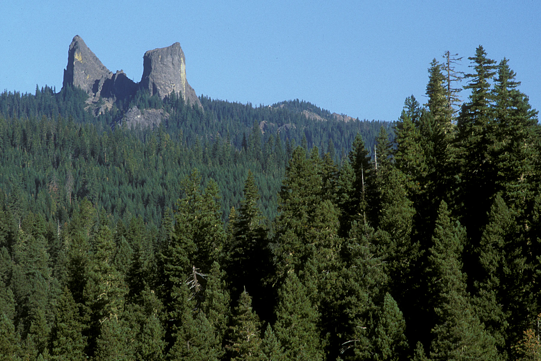 Two prominent, jagged rock pillars known as Rabbit Ears rise above a green, tree-covered mountainside under a clear blue sky.