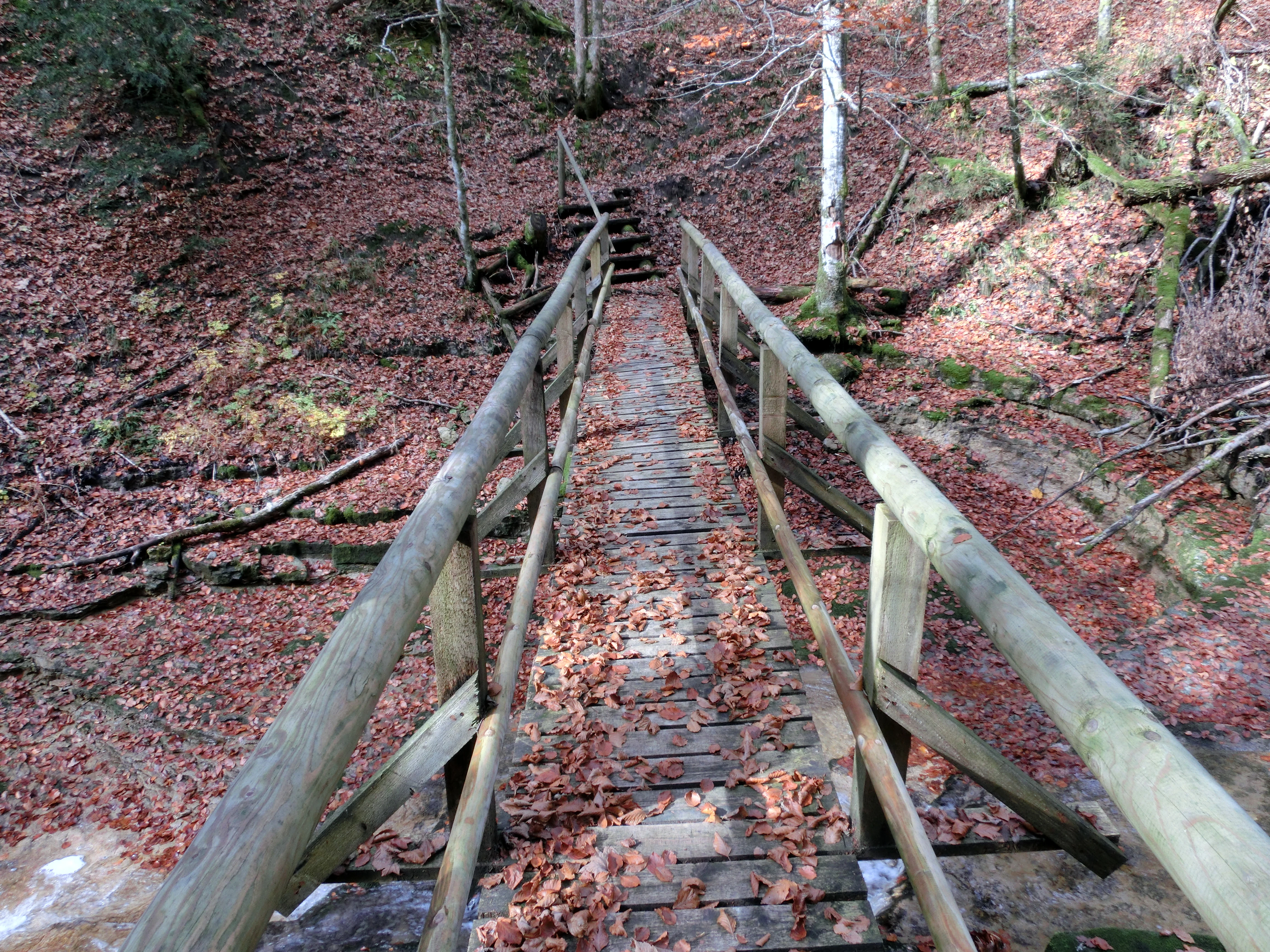 A narrow wooden footbridge leads across a small, forest-covered ravine, covered in fallen autumn leaves, leading to wooden steps on the opposite bank.