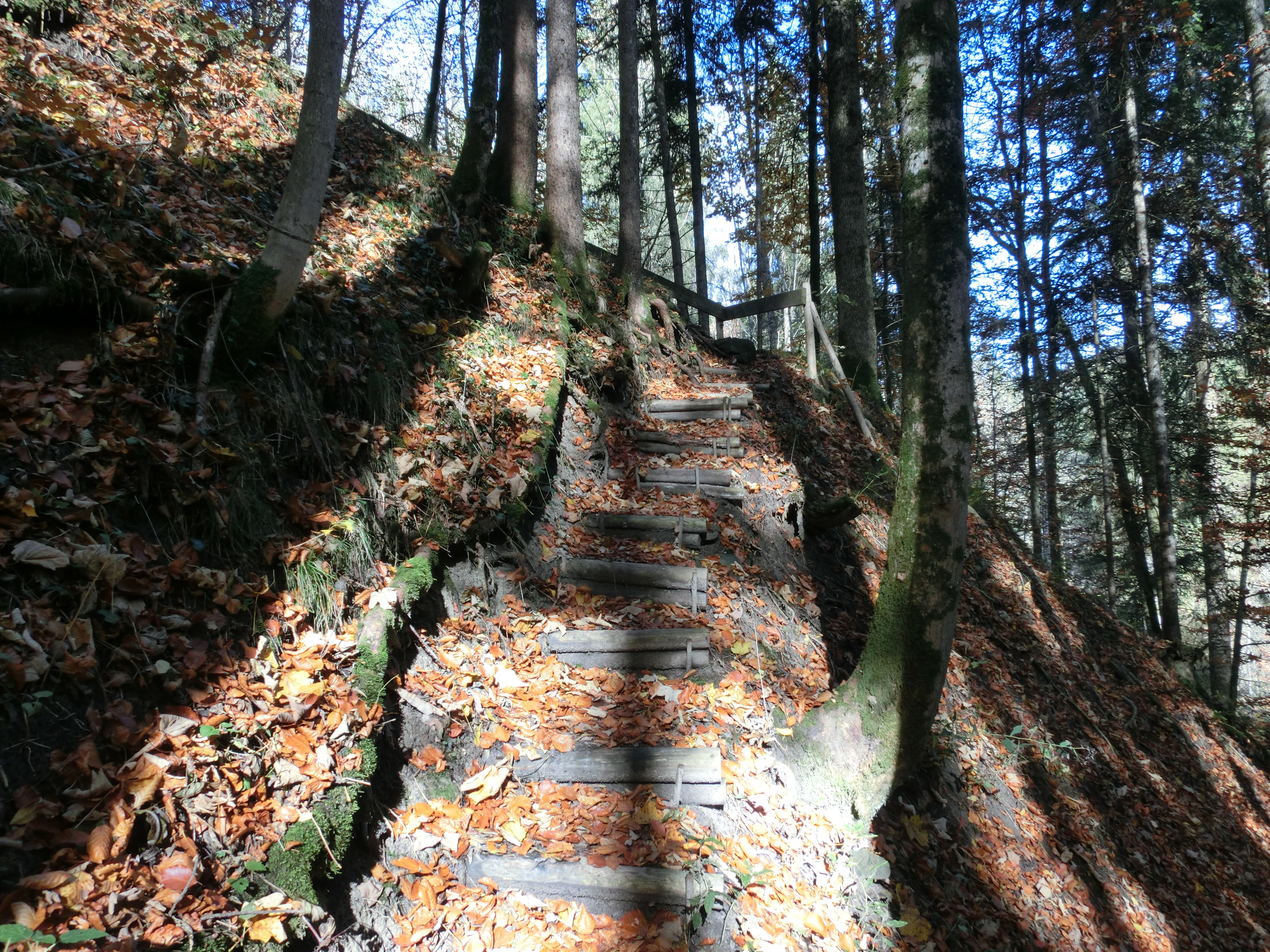 A steep wooden stairway built into the side of a forested ravine, covered in fallen autumn leaves.