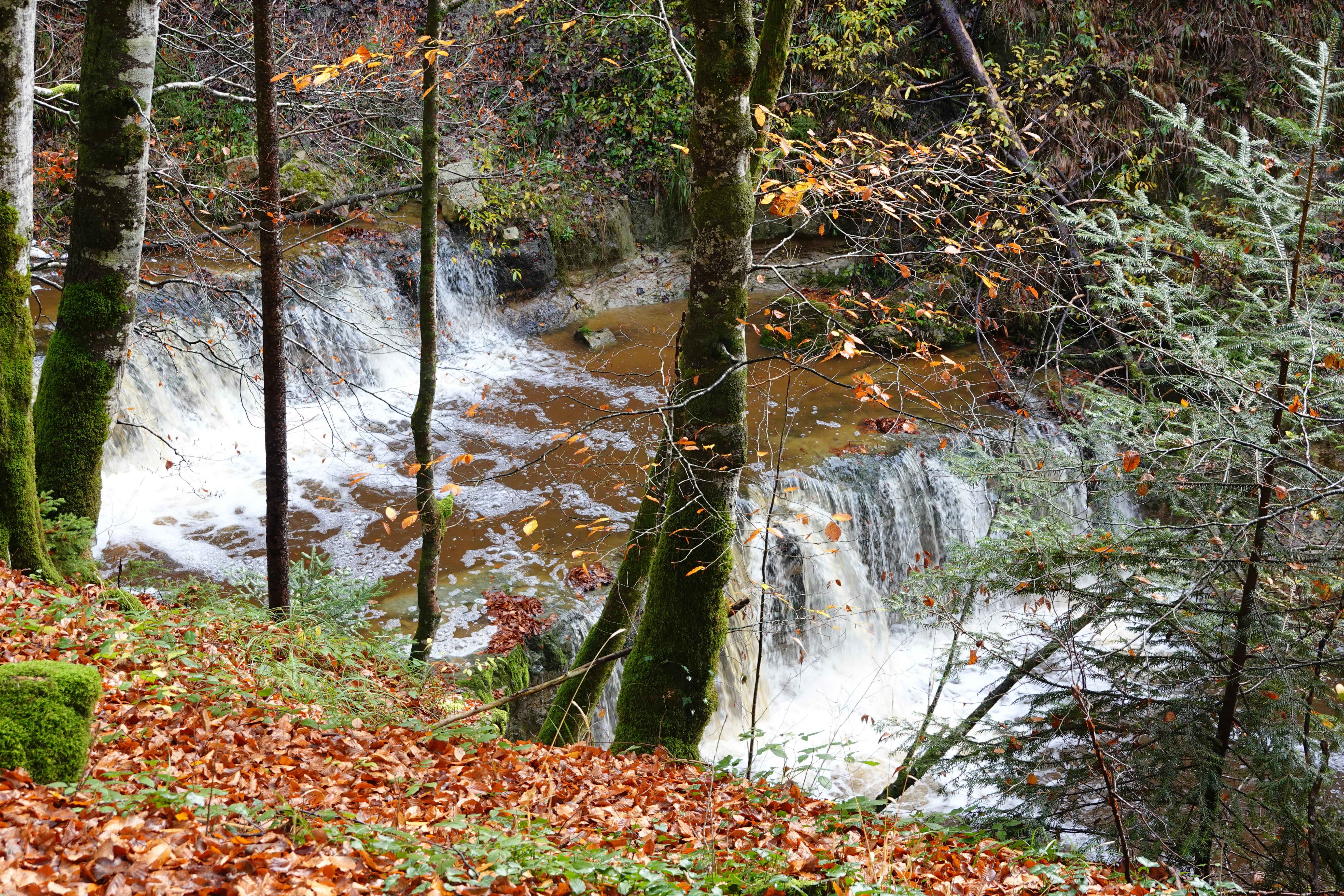 A small, multi-tiered waterfall flows through a forest ravine filled with autumn leaves and trees.
