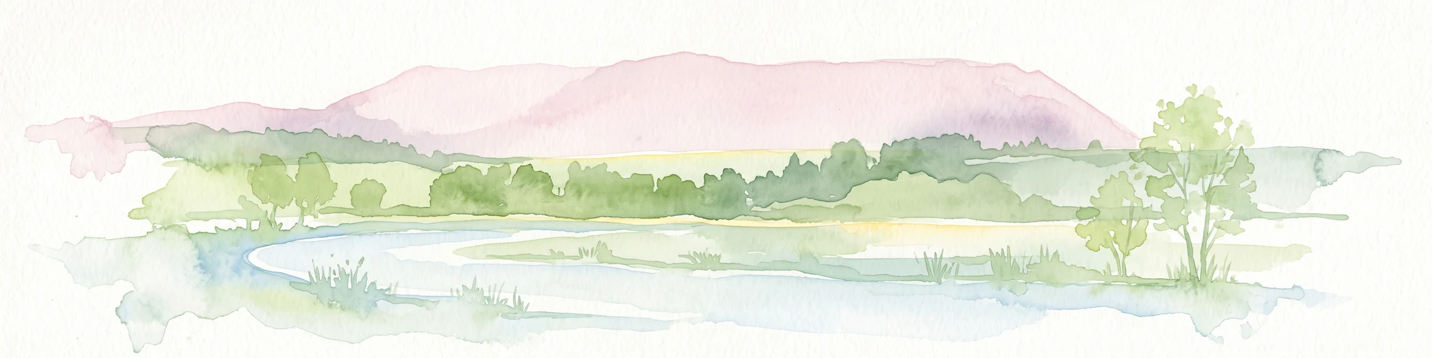A soft watercolor illustration of a wetland scene with light blue water in the foreground, green trees in the midground, and soft pink hills in the background.