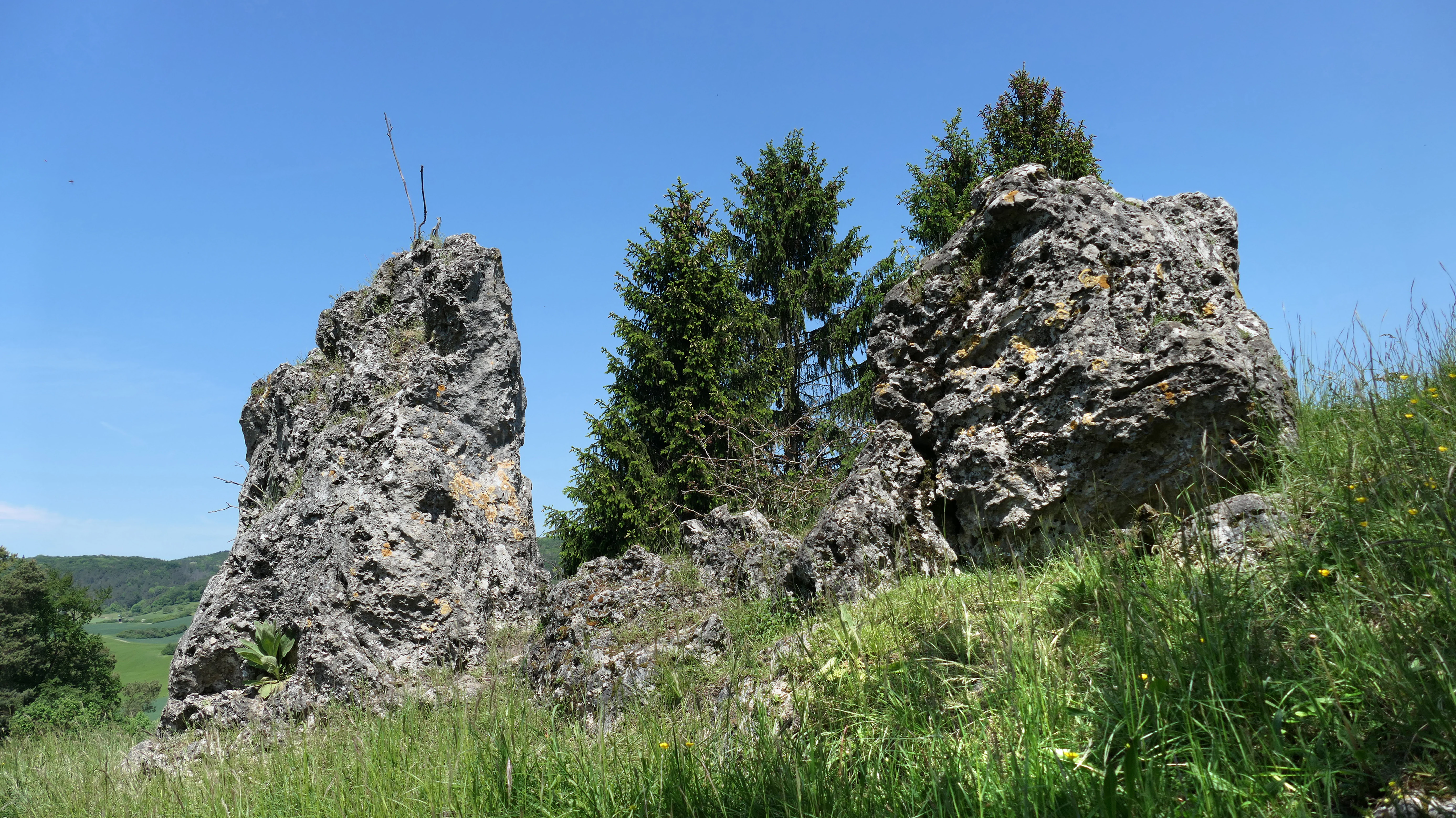 Two prominent, jagged dolomite rock outcrops rise from a grassy slope, surrounded by coniferous trees under a clear blue sky.