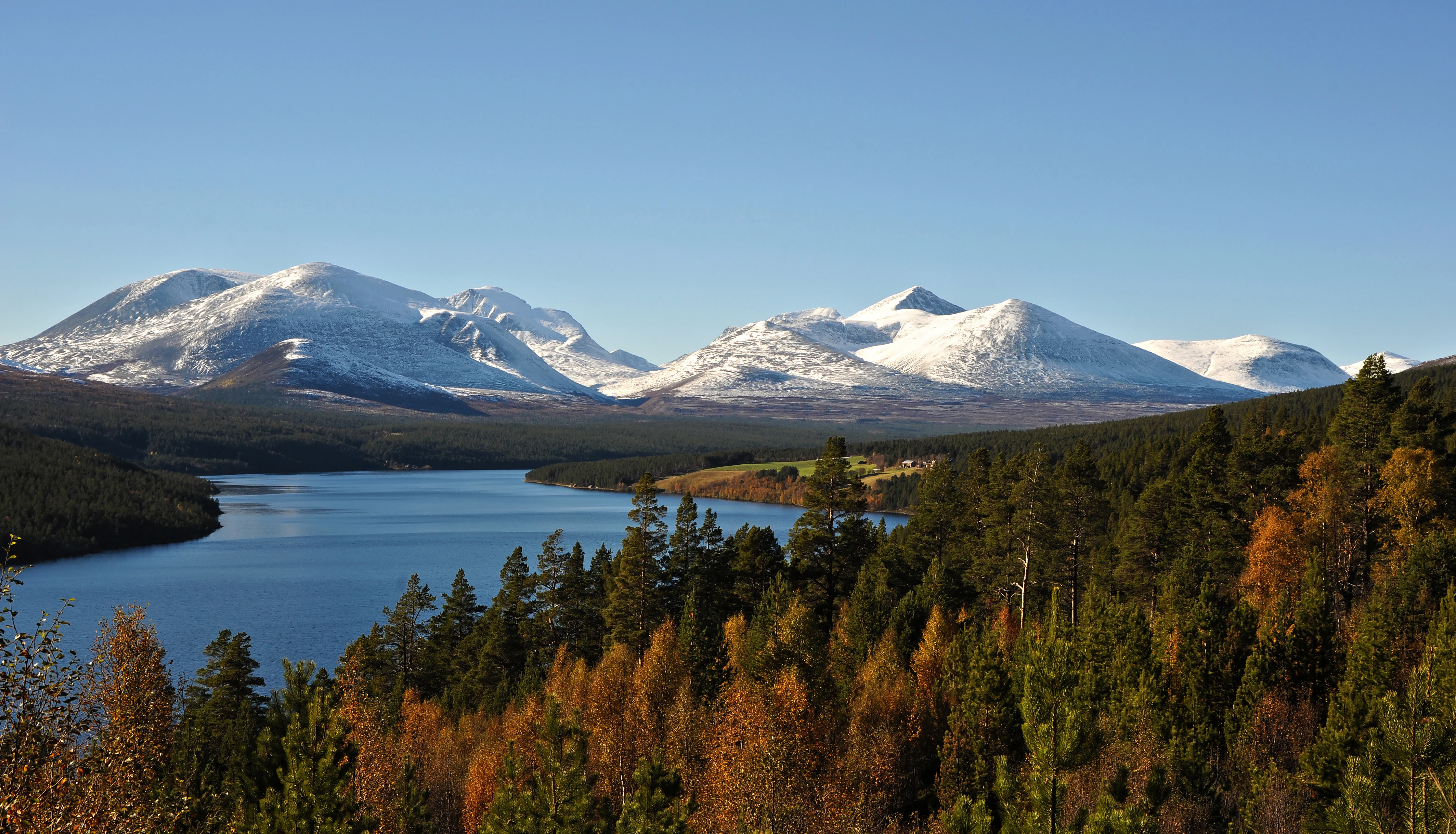 Panoramic view of a lake bordered by dense forests with autumn foliage, snow-capped mountains in the background under a clear blue sky