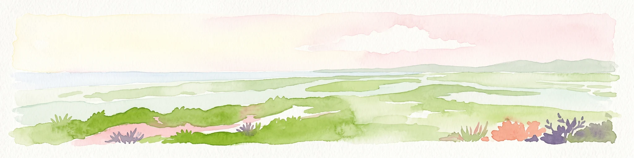 Watercolor illustration depicting a panoramic view of a coastal estuary with green mangrove islands, tidal channels, and a soft pink sunset sky.
