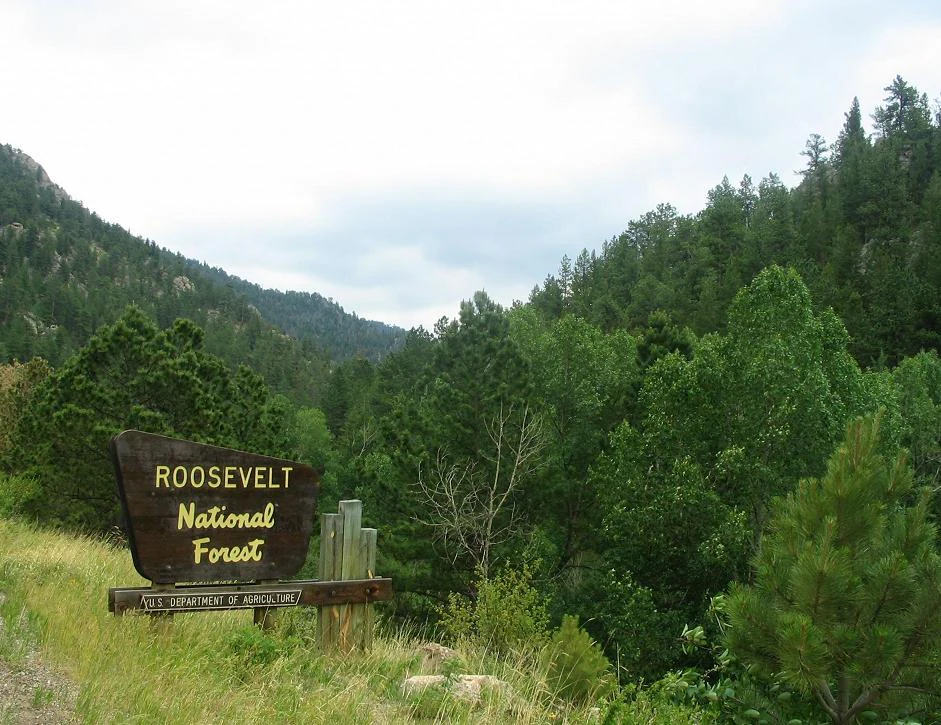 Roosevelt National Forest Entrance Sign