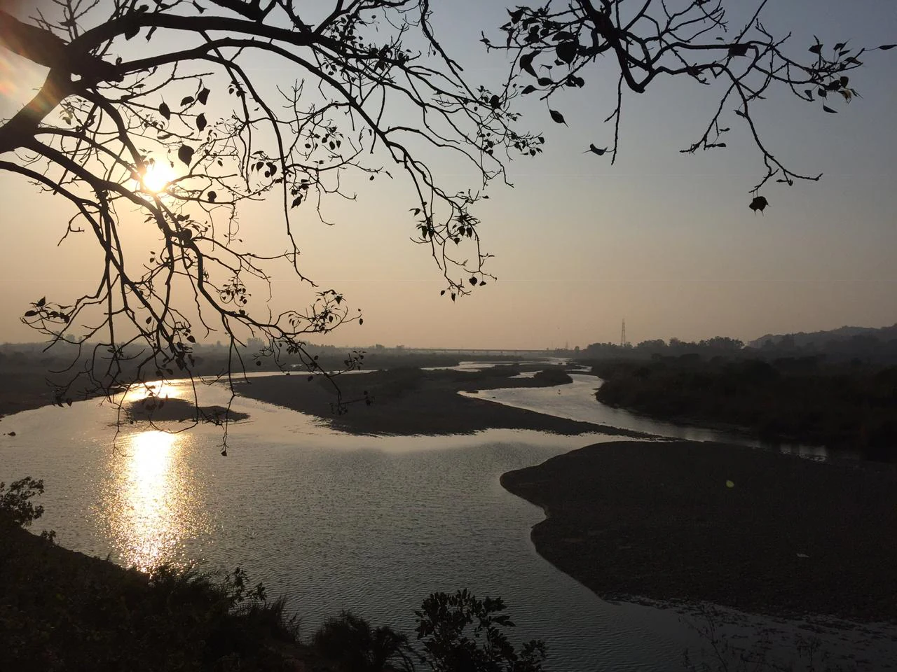 A sunset view looking over the winding Sutlej River at Ropar Wetland, with silhouetted tree branches in the foreground.