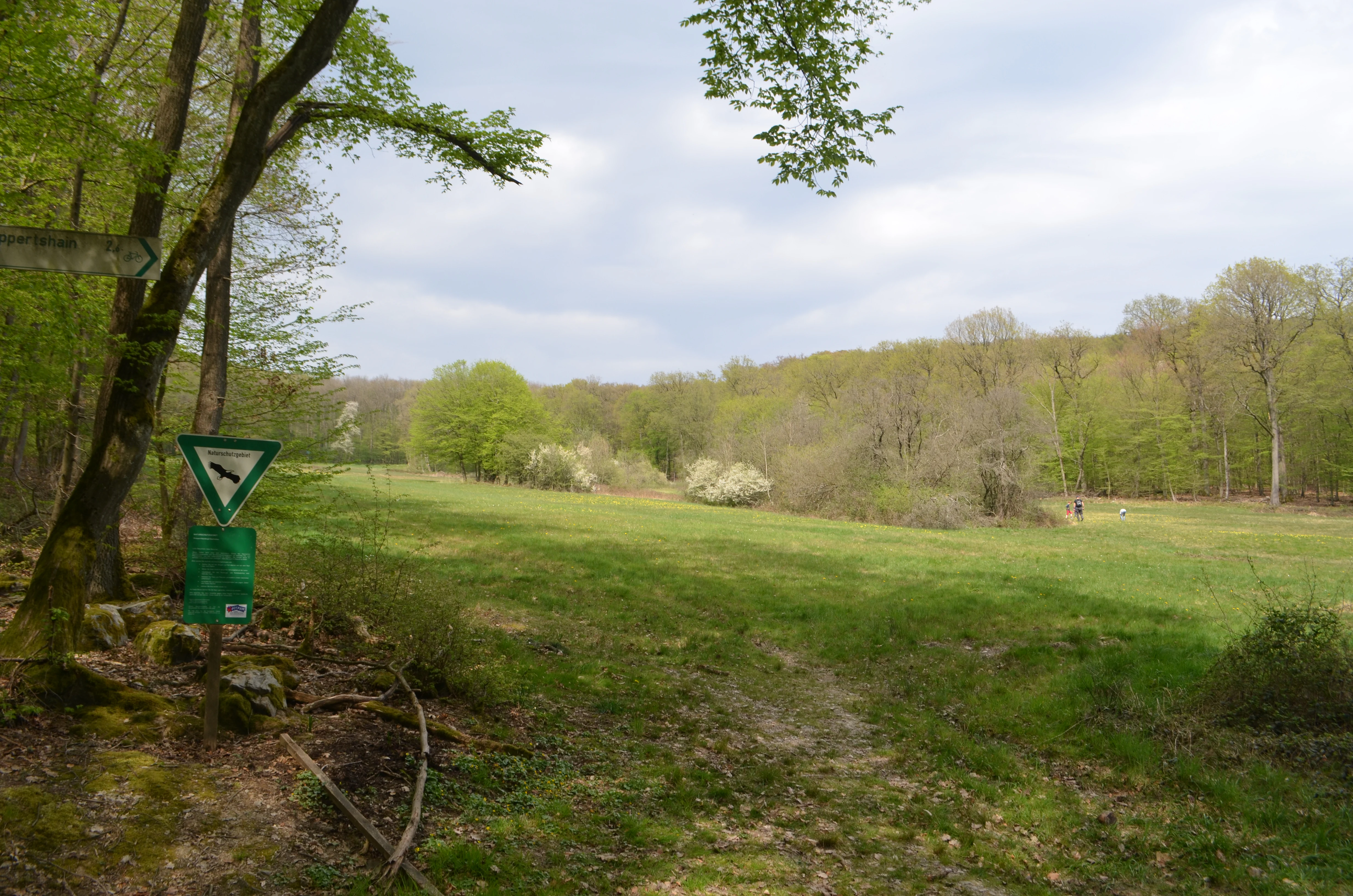 A meadow landscape with a walking path, surrounded by light green forest under a cloudy sky. A nature reserve sign with a green triangle symbol stands on a wooden post in the foreground.