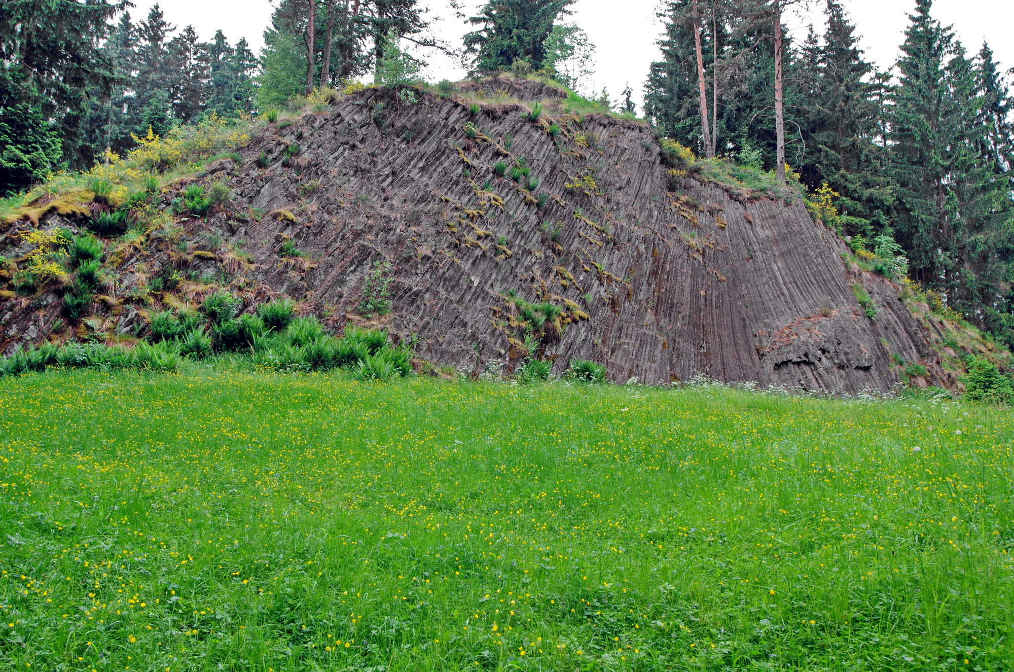 A green meadow leading to a steep slope of exposed dark, vertical columnar basalt rock formations surrounded by coniferous trees.
