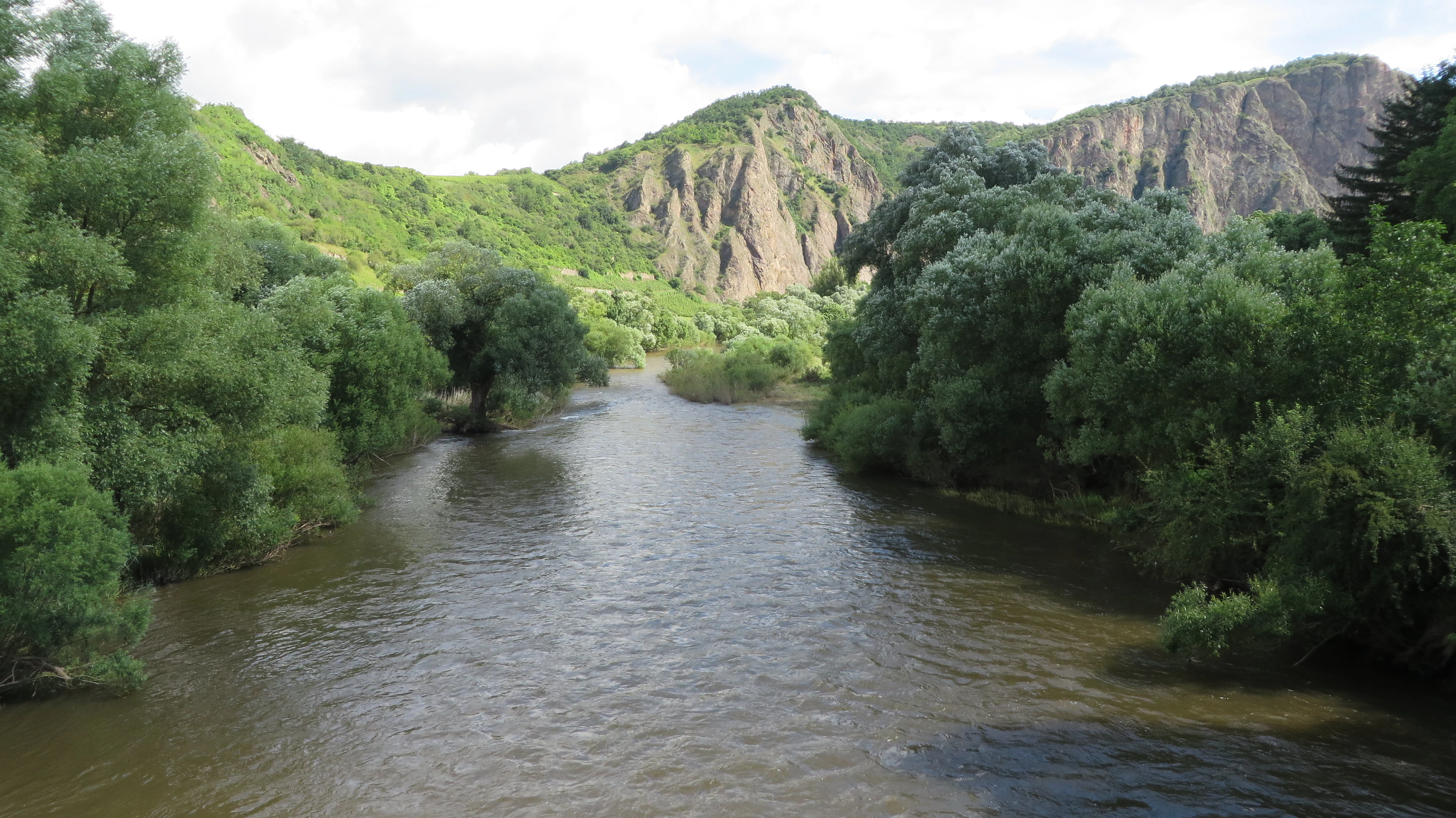 A wide landscape view of the Rotenfels cliff face rising above a flowing river, framed by dense green trees and foliage along the banks.