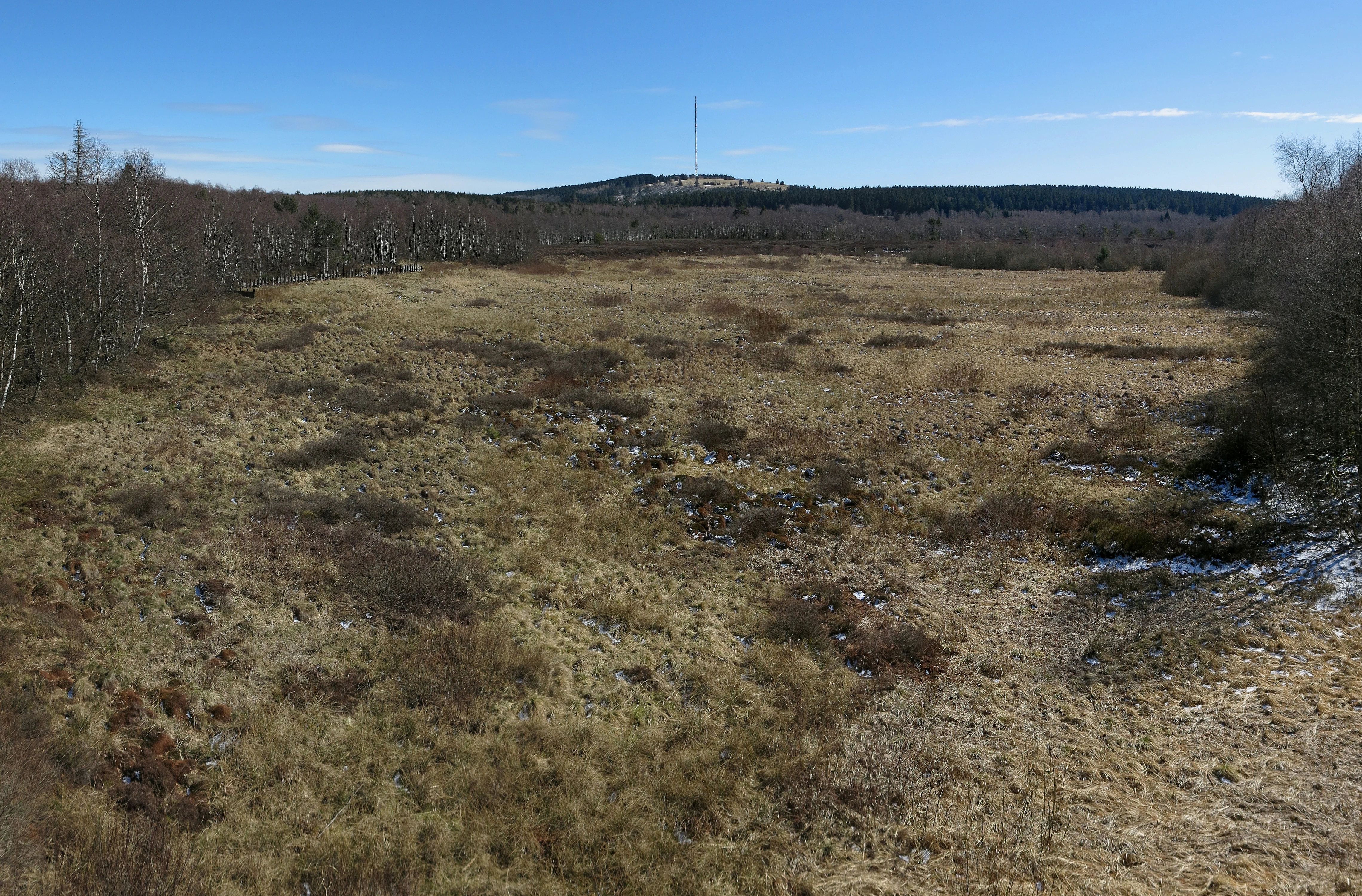 A high-angle view looking over a sprawling, yellowish-brown moorland landscape in early spring, flanked by dark forests, with a distant hill topped by a transmission tower under a clear blue sky.