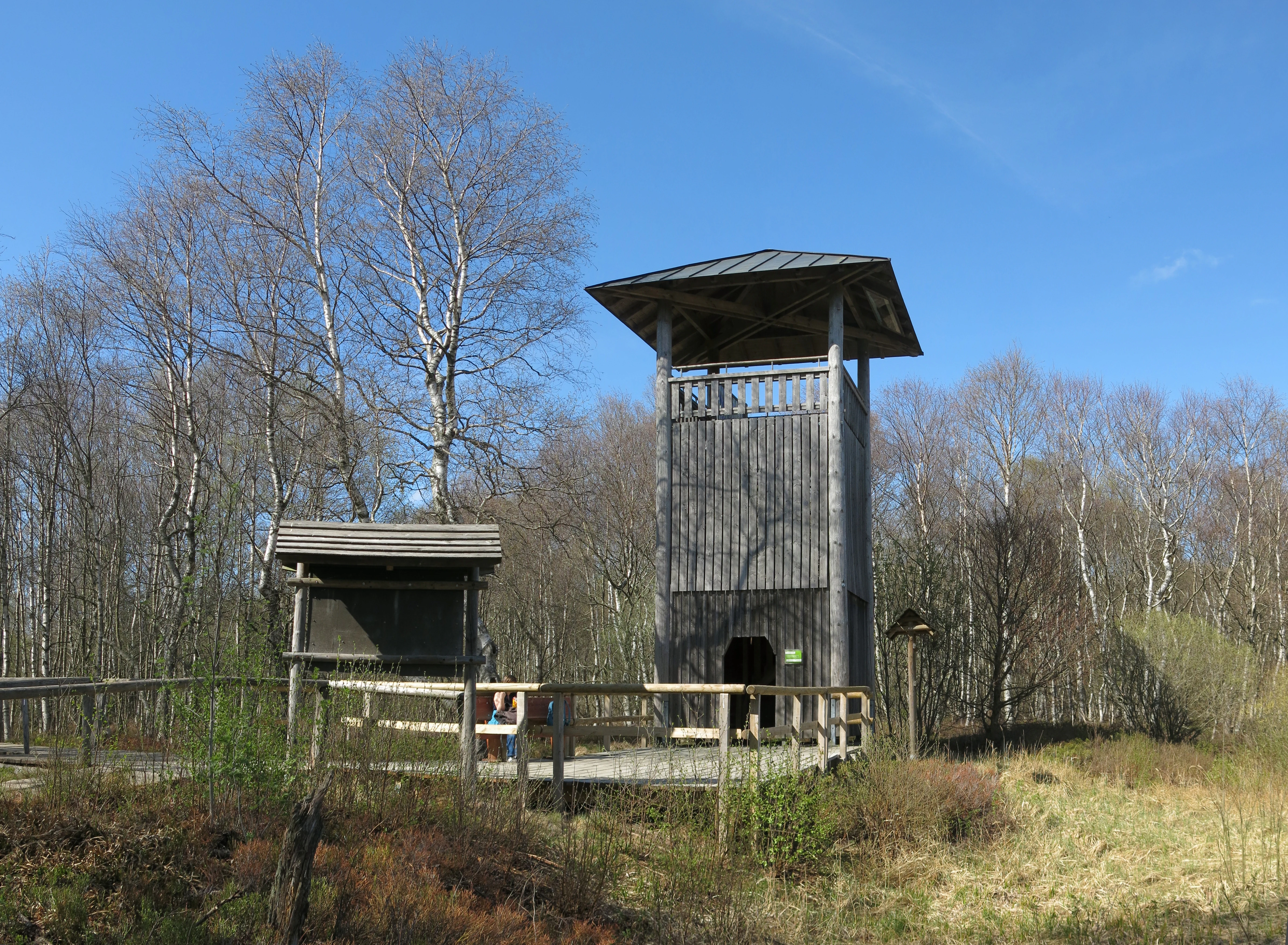 A wooden observation tower stands in a moorland area, surrounded by bare trees under a clear blue sky, with a wooden boardwalk and signage in the foreground.