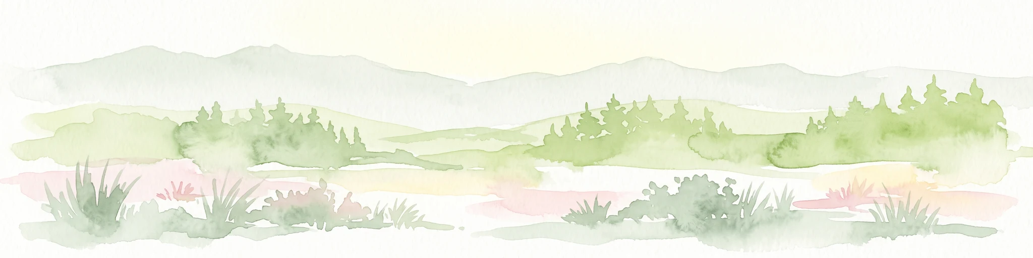 A horizontal watercolor illustration of a misty moorland with soft green hills, patches of forest, and marshy foreground vegetation, rendered in a light, atmospheric palette.