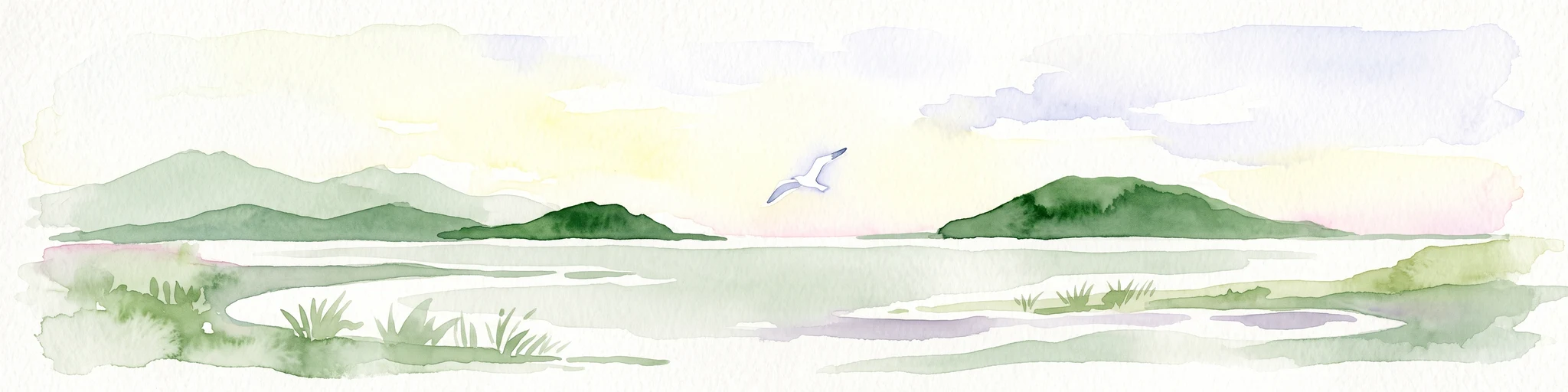 A horizontal watercolor painting showing a calm bay with green islands in the distance and a single white bird in flight against a pale sky.