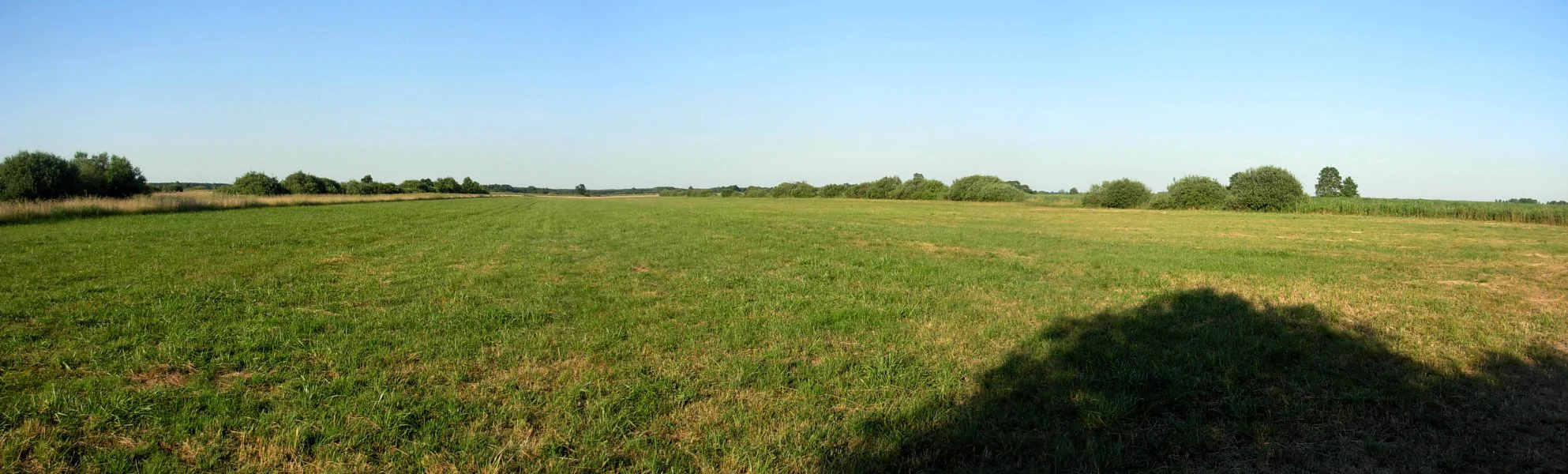 A wide, panoramic view of a vast, flat meadow with green grass stretching to the horizon under a clear blue sky, with a dark tree shadow in the foreground right.