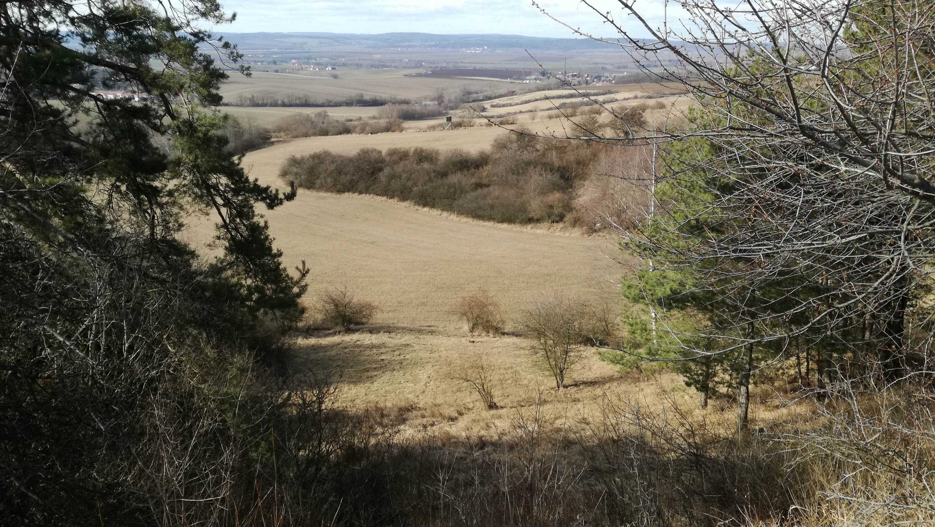 Roznital view from the east