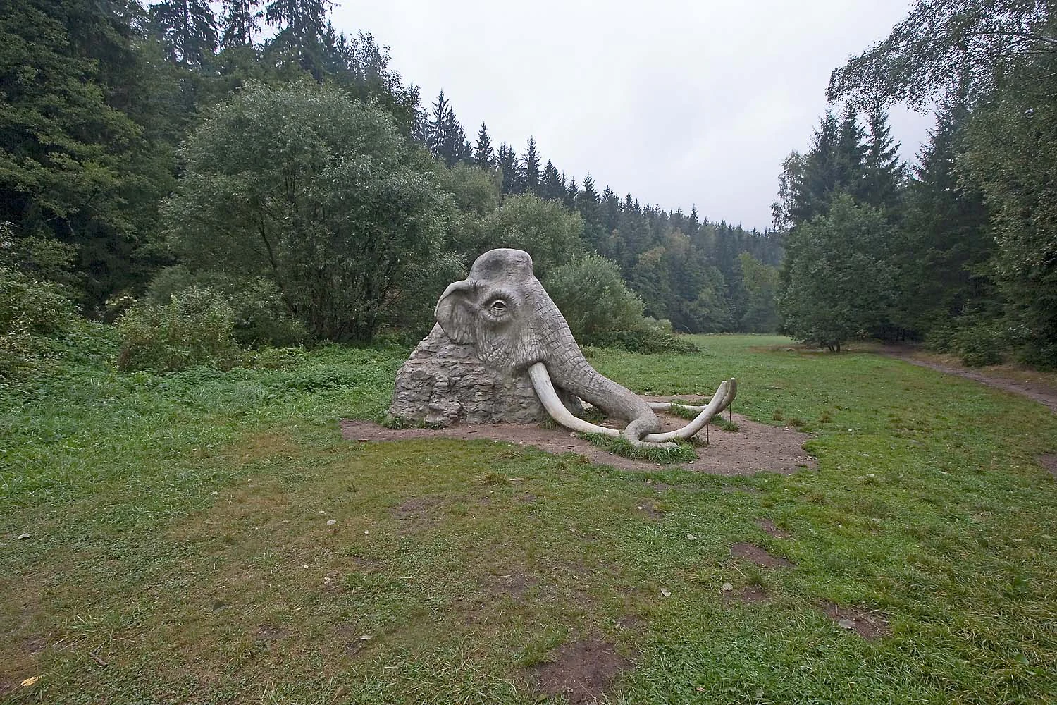 A large, realistic stone-like sculpture of a mammoth head emerging from the ground in a green grassy clearing surrounded by a dense conifer forest.