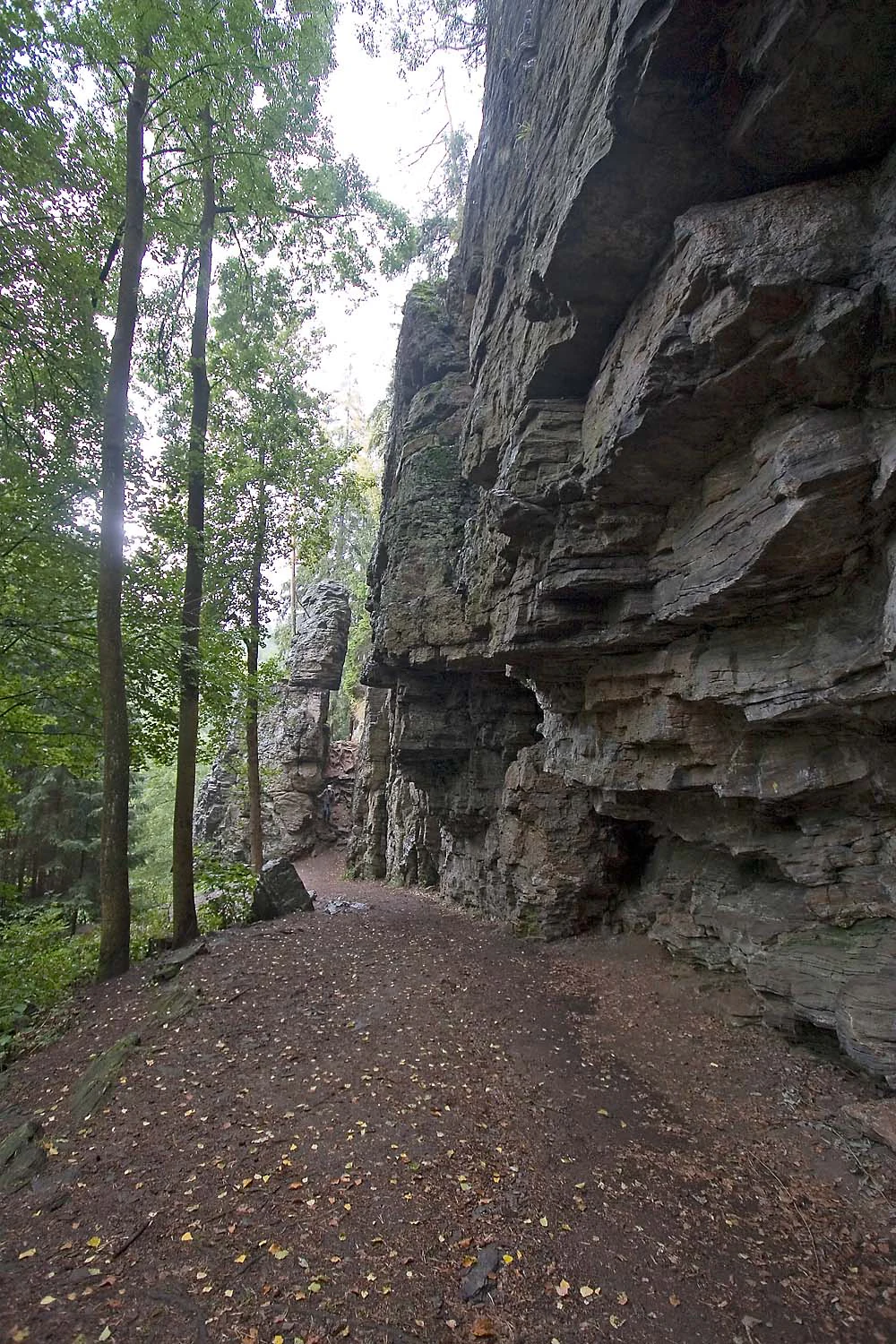 A path leads along a tall, rugged, layered grey rock cliff on the right, with tall trees on the left side of the path.