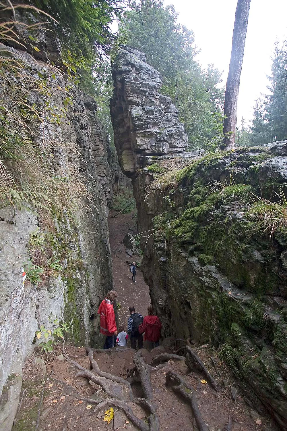 A group of hikers descends a narrow, earthy trail path between two high, vertical gneiss rock walls at Rozstipena skala.