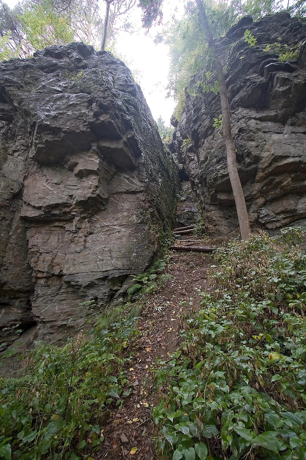 A narrow dirt trail winding between two massive, vertical gneiss rock walls surrounded by dense green forest foliage.