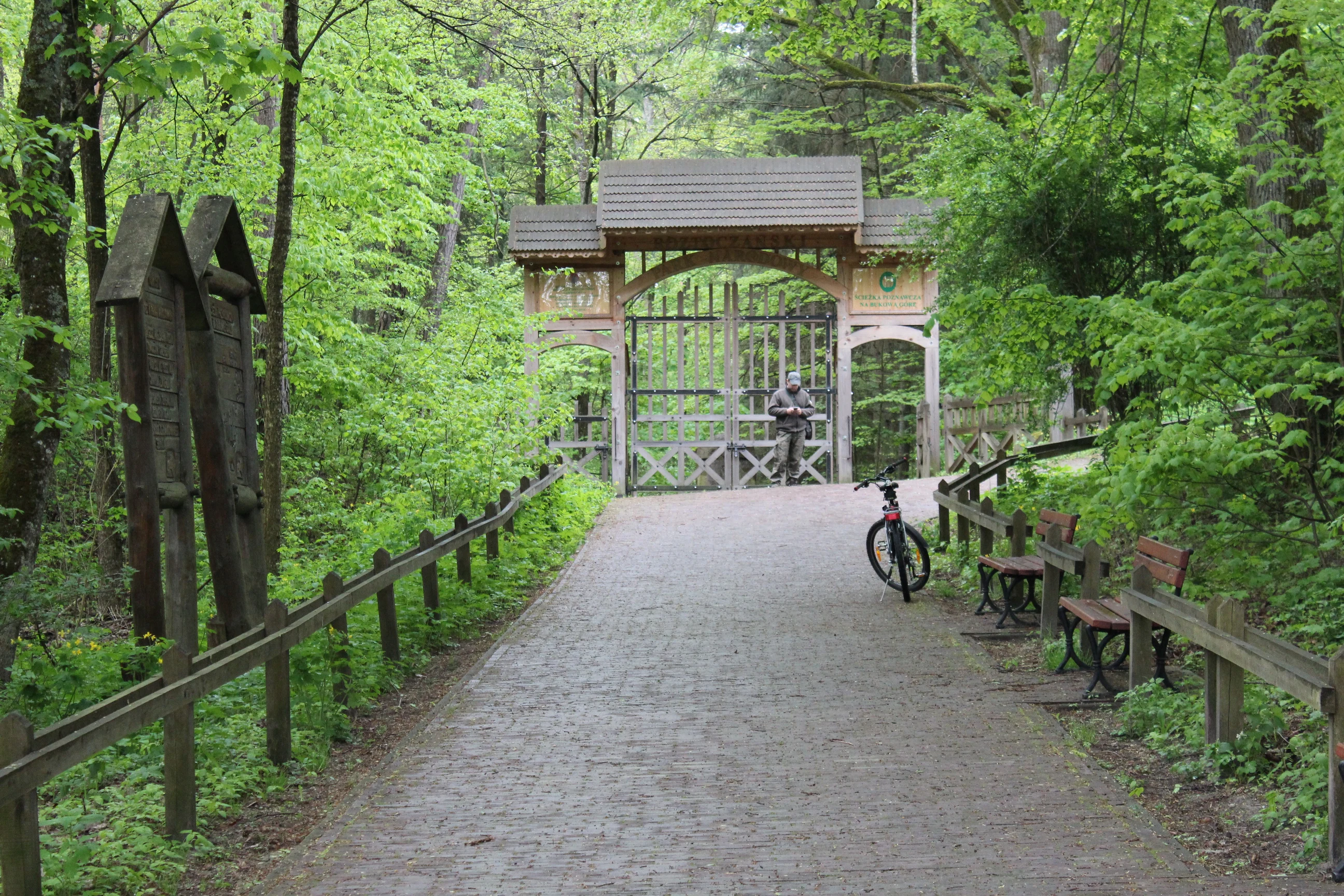 A paved path leads through a lush green forest to a decorative wooden park gate with a cyclist standing near it.