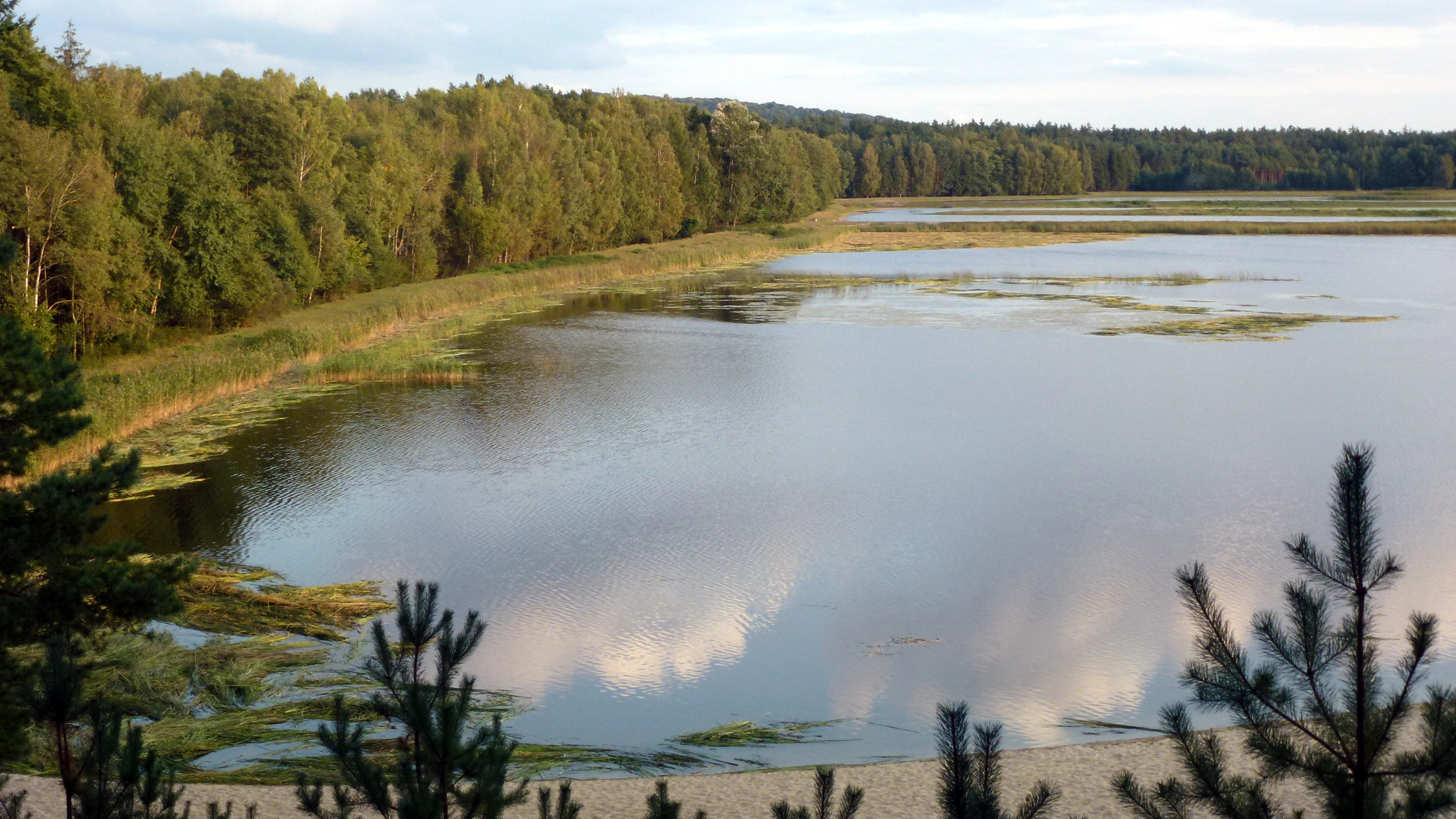 Lake surrounded by forest with reflections of trees and sky