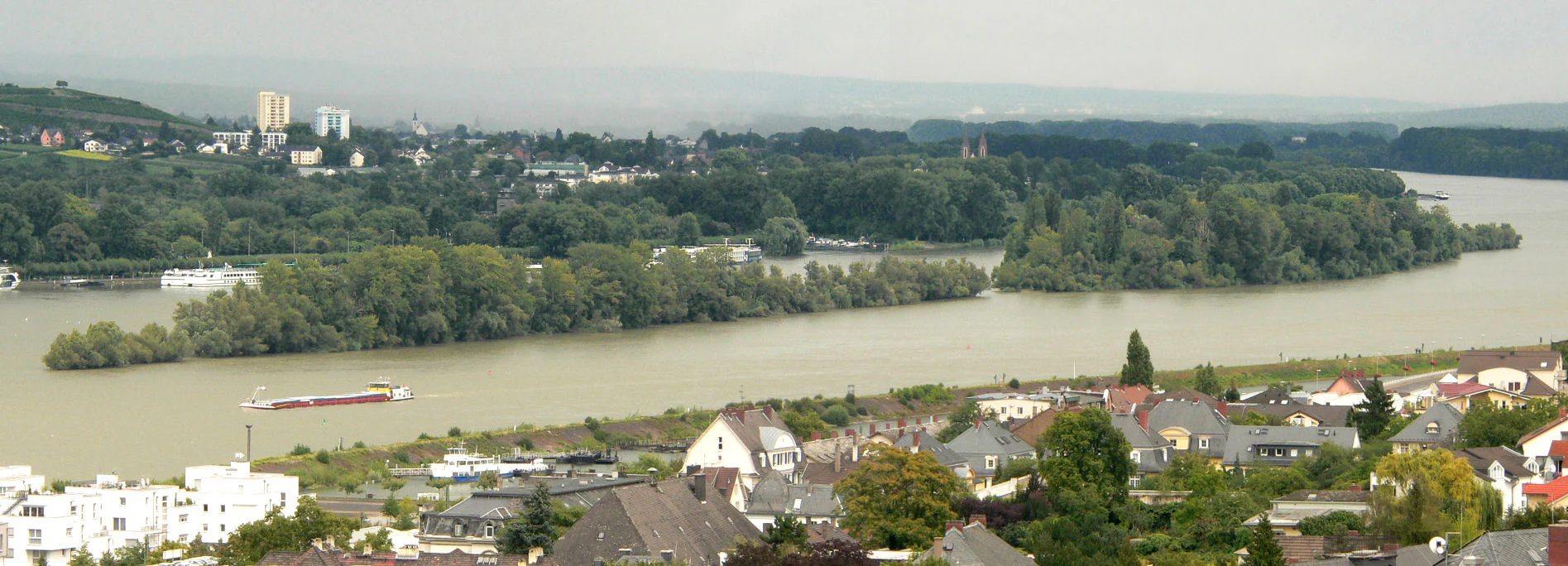 A high vantage point view of Rüdesheimer Aue, a forested river island in the Rhine, with urban development on the riverbanks.