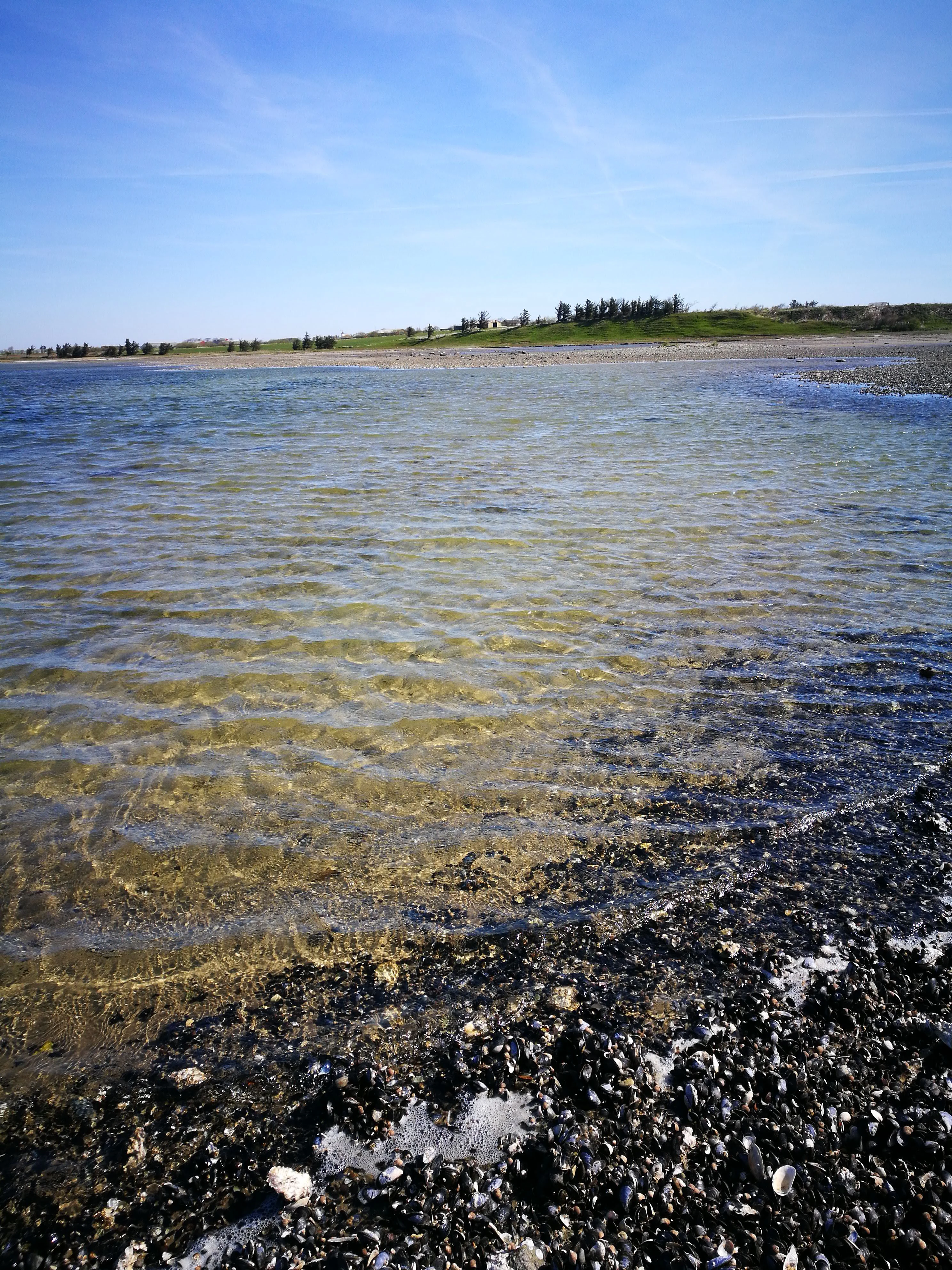 A vertical view of shallow, clear water lapping against a dark, pebbly shoreline, with a green coastline and blue sky in the background.