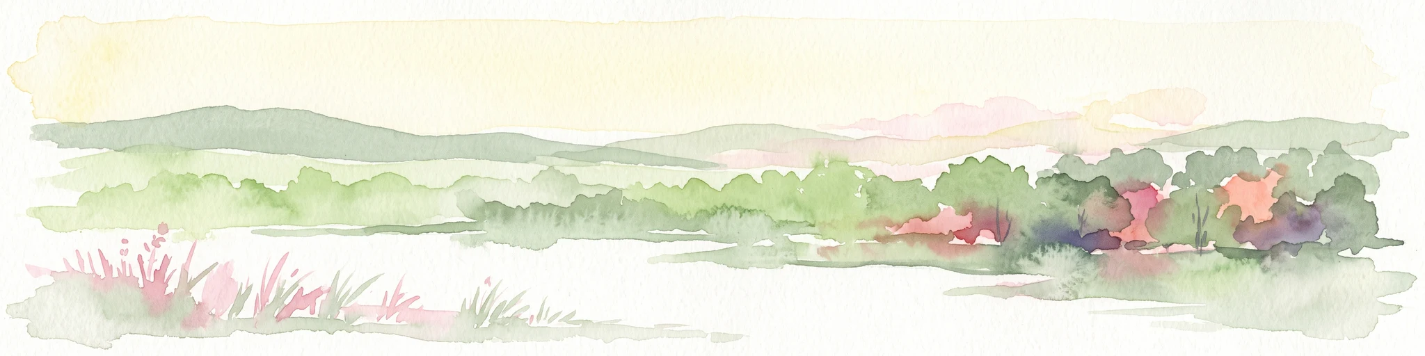 A soft watercolor painting of a calm lake with marshy shores and distant low hills under a light sky.