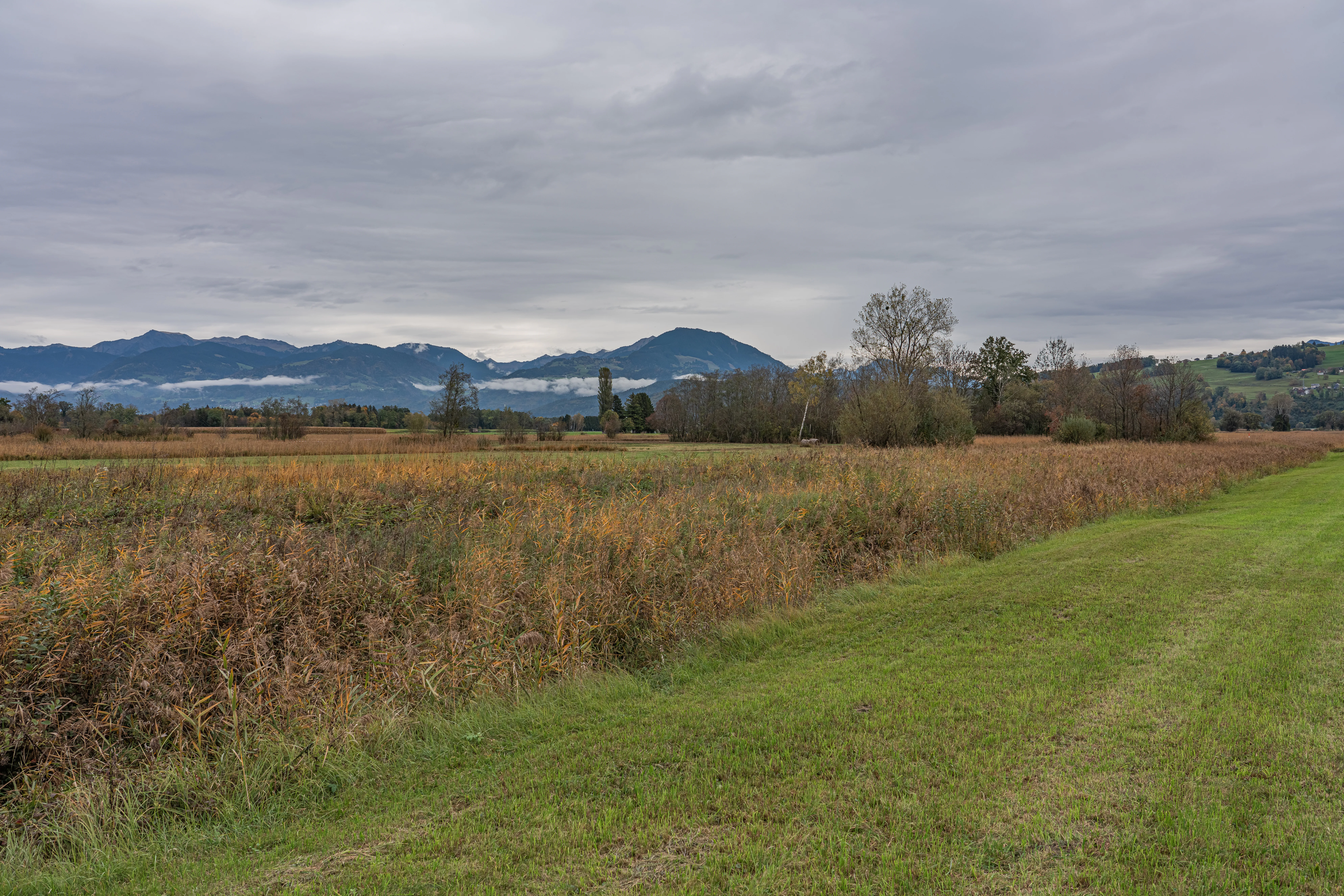 A wide view of a flat moorland landscape with brown marsh grasses and green meadow fields, backed by a distant mountain range under a cloudy sky.