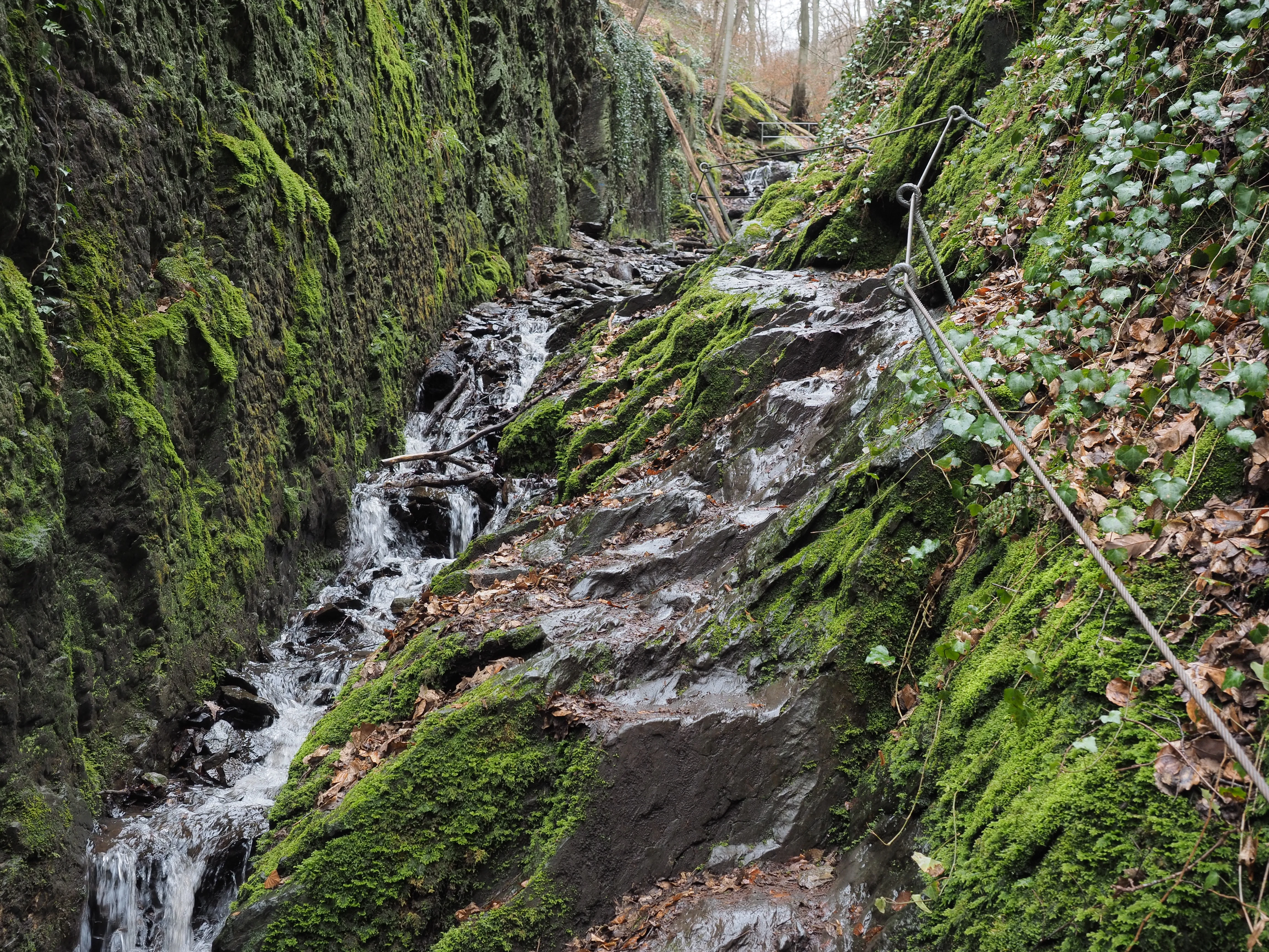 A narrow, rocky hiking trail follows the course of a small stream through a deep, moss-covered gorge with steep walls.
